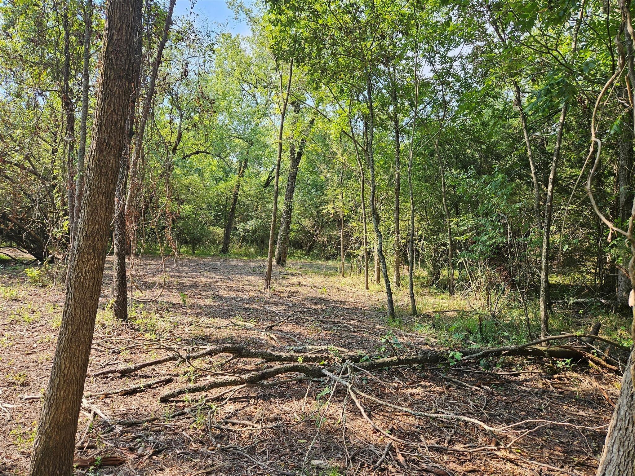 main property photo 19