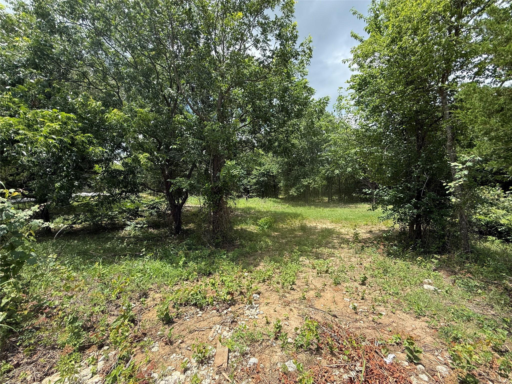 main property photo 17