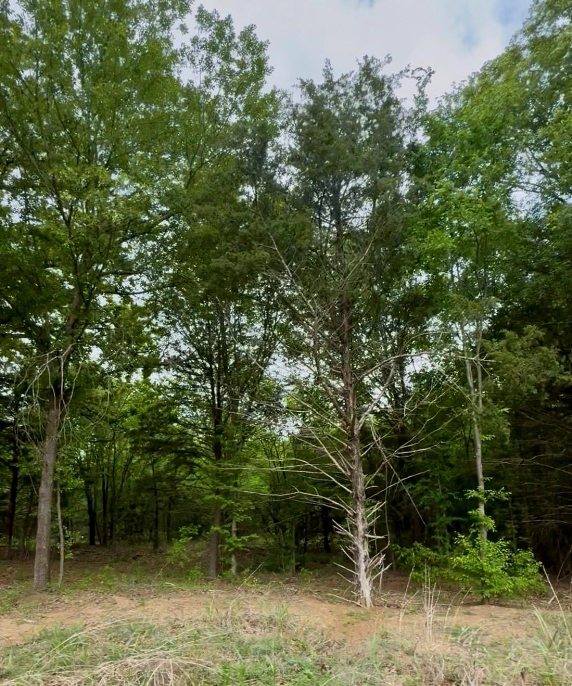 main property photo 19