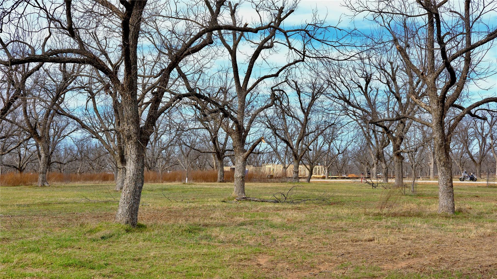 main property photo 9