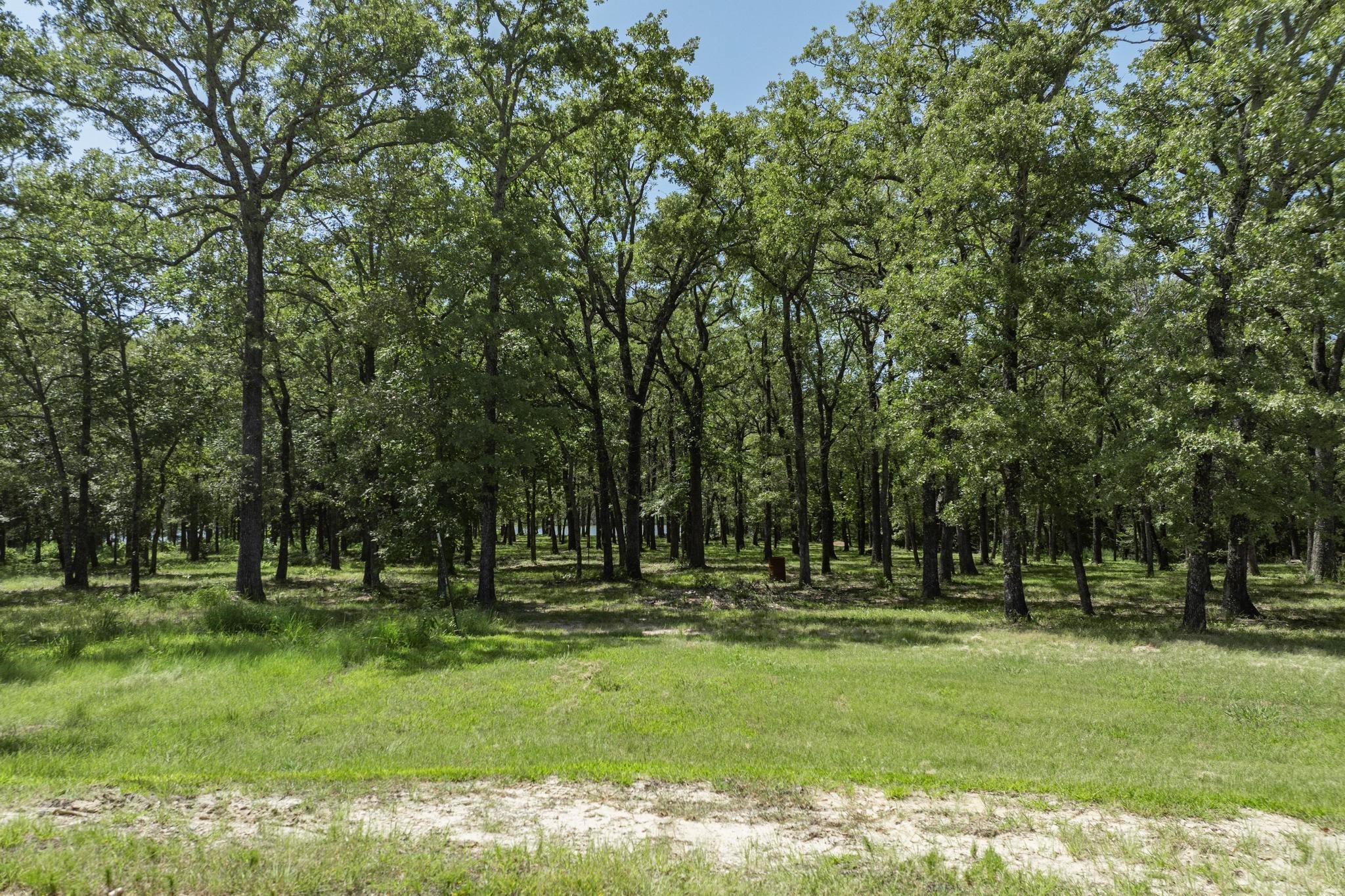 main property photo 15