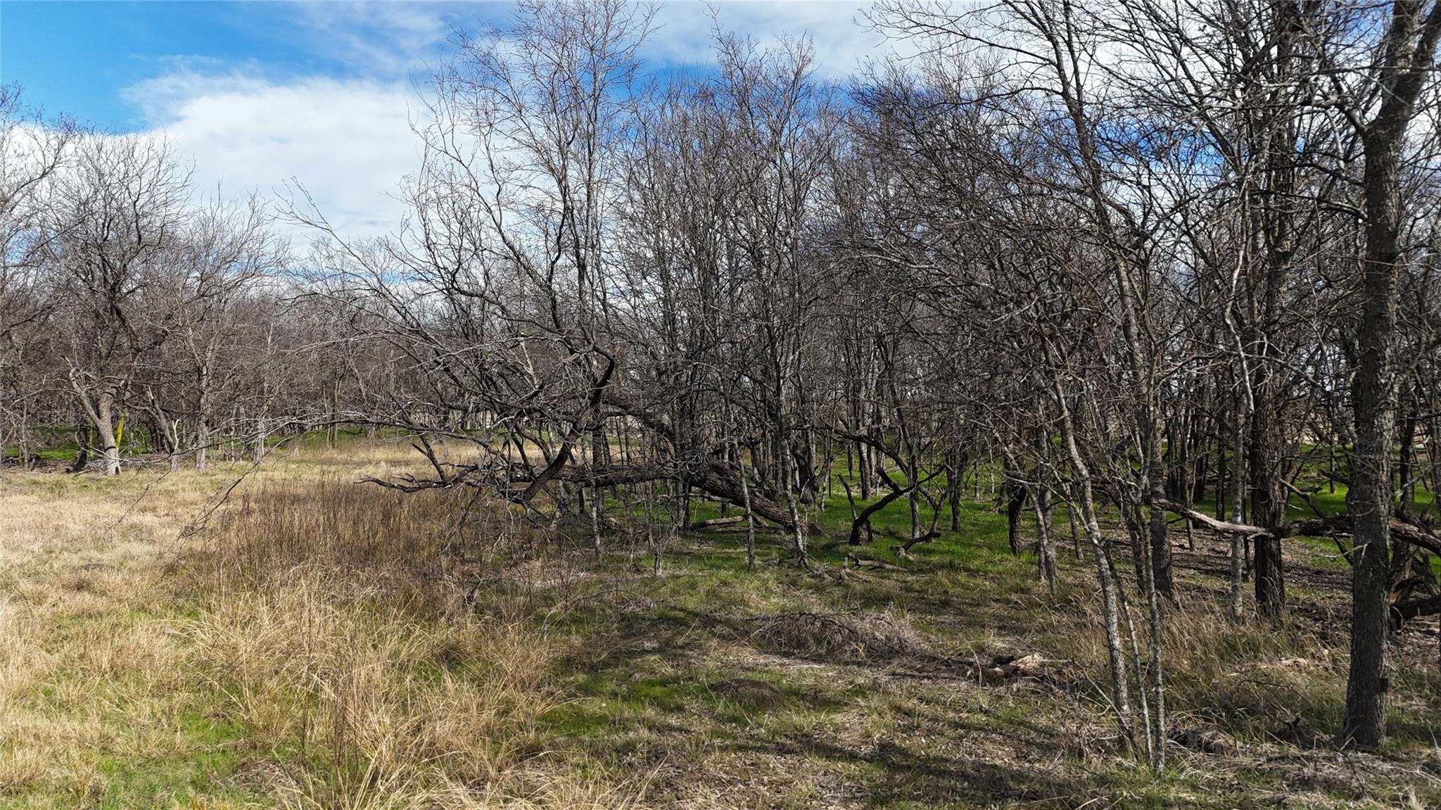 main property photo 20