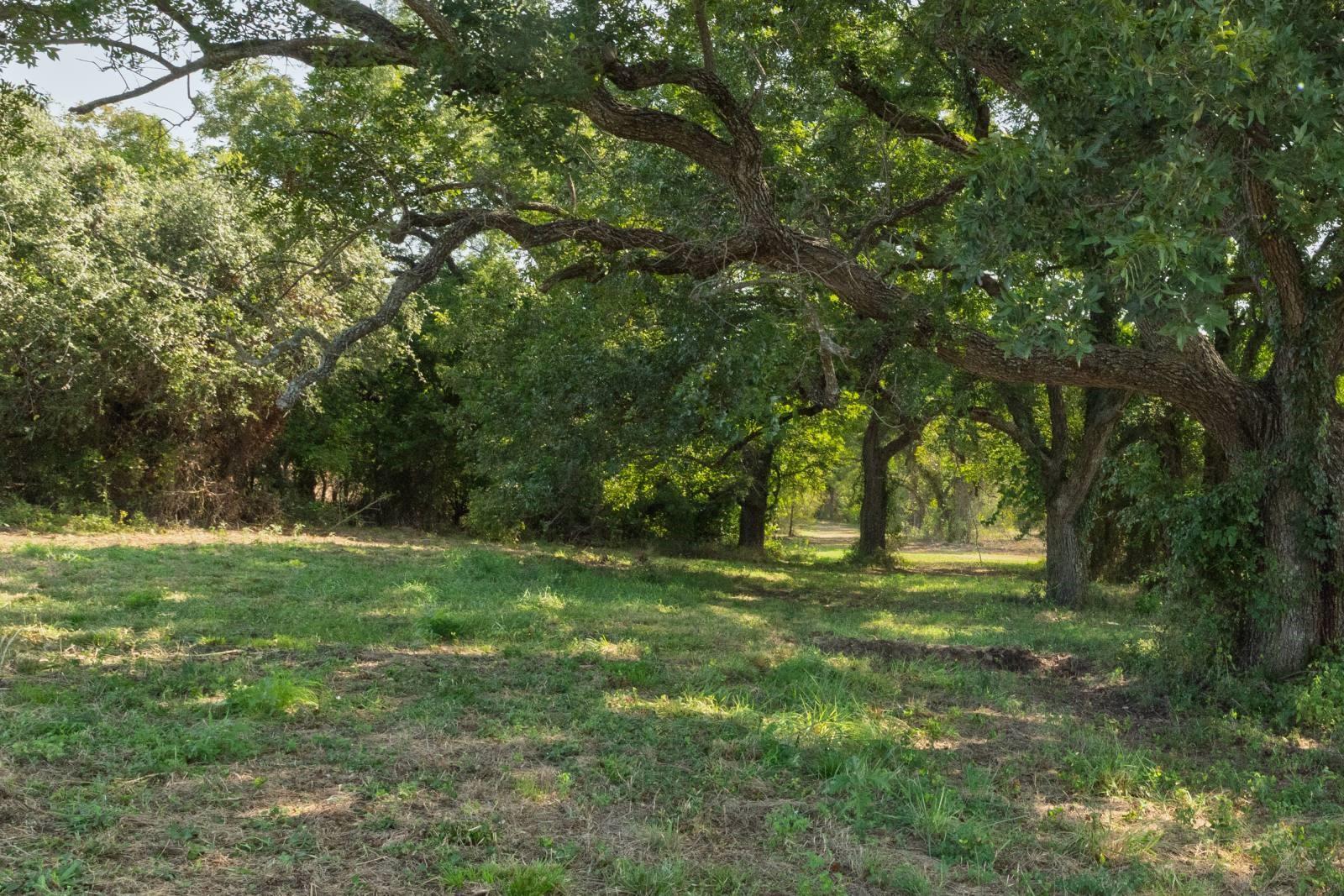 main property photo 15