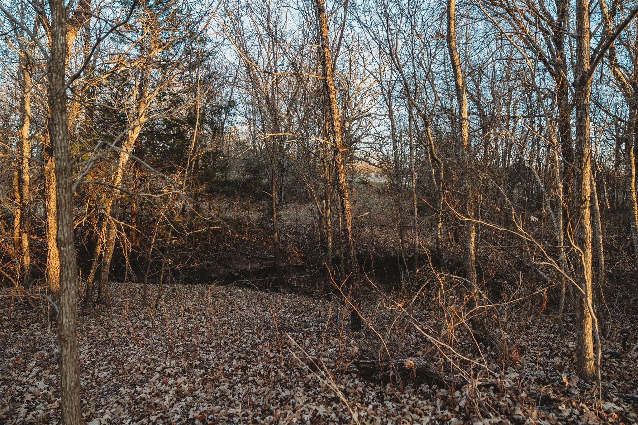 main property photo 11