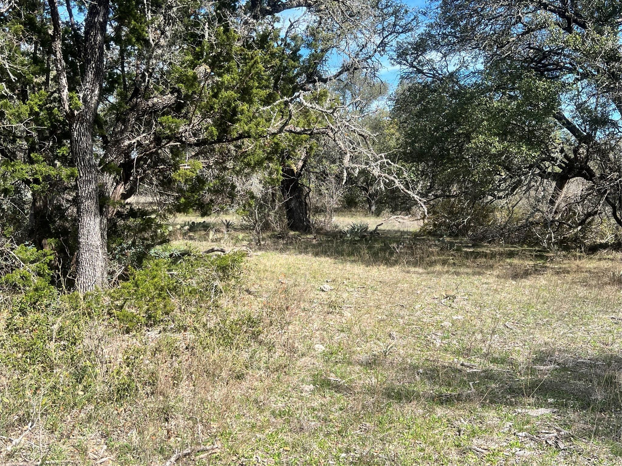 main property photo 31