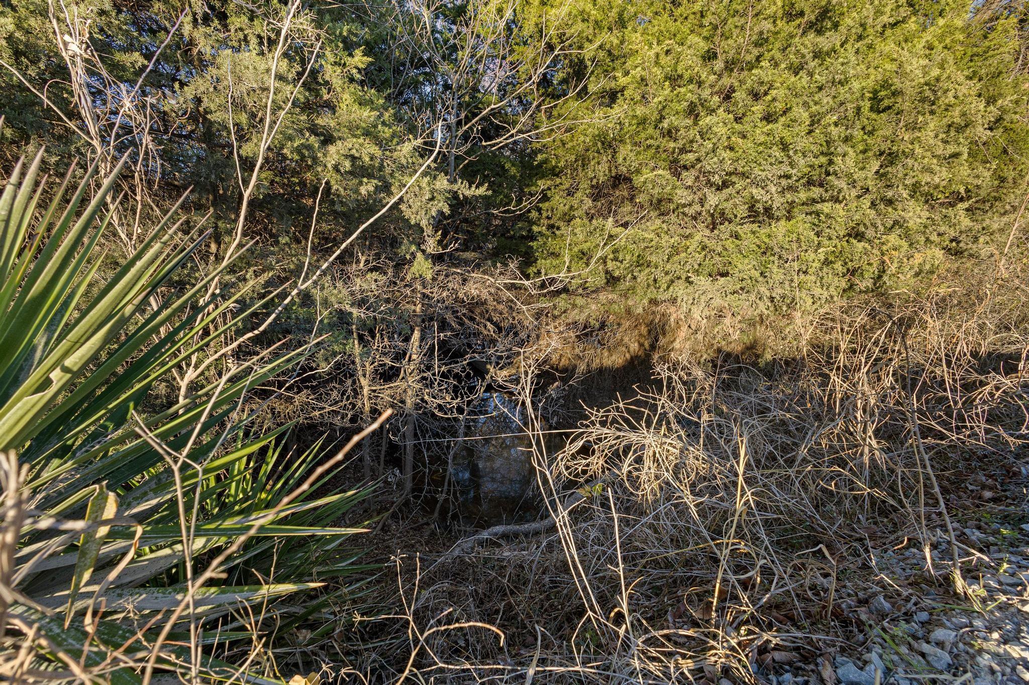main property photo 33