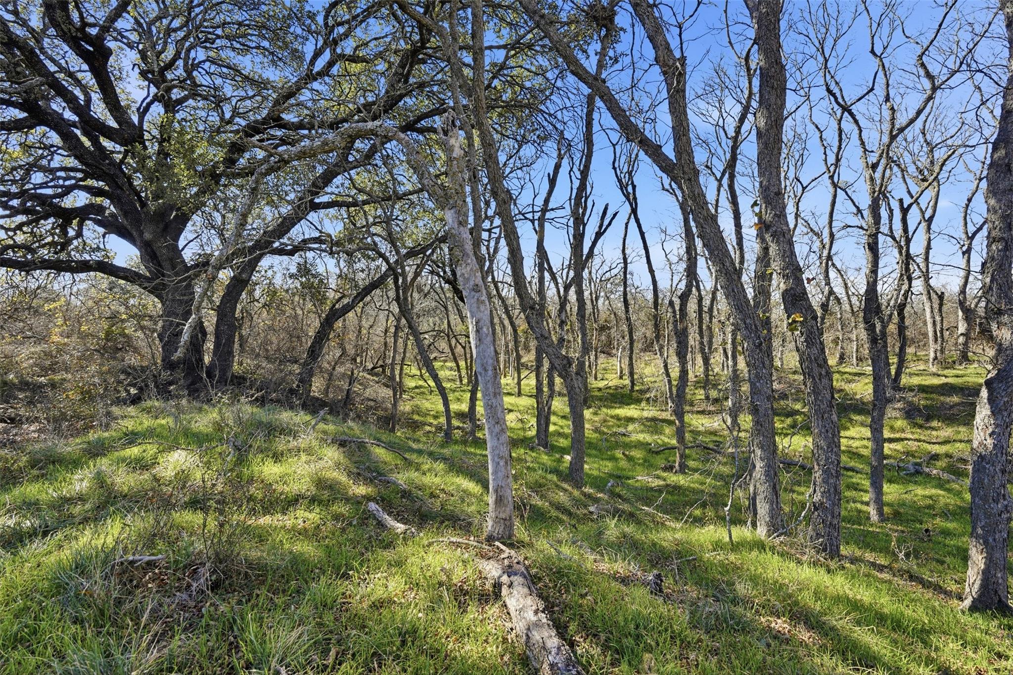 main property photo 15