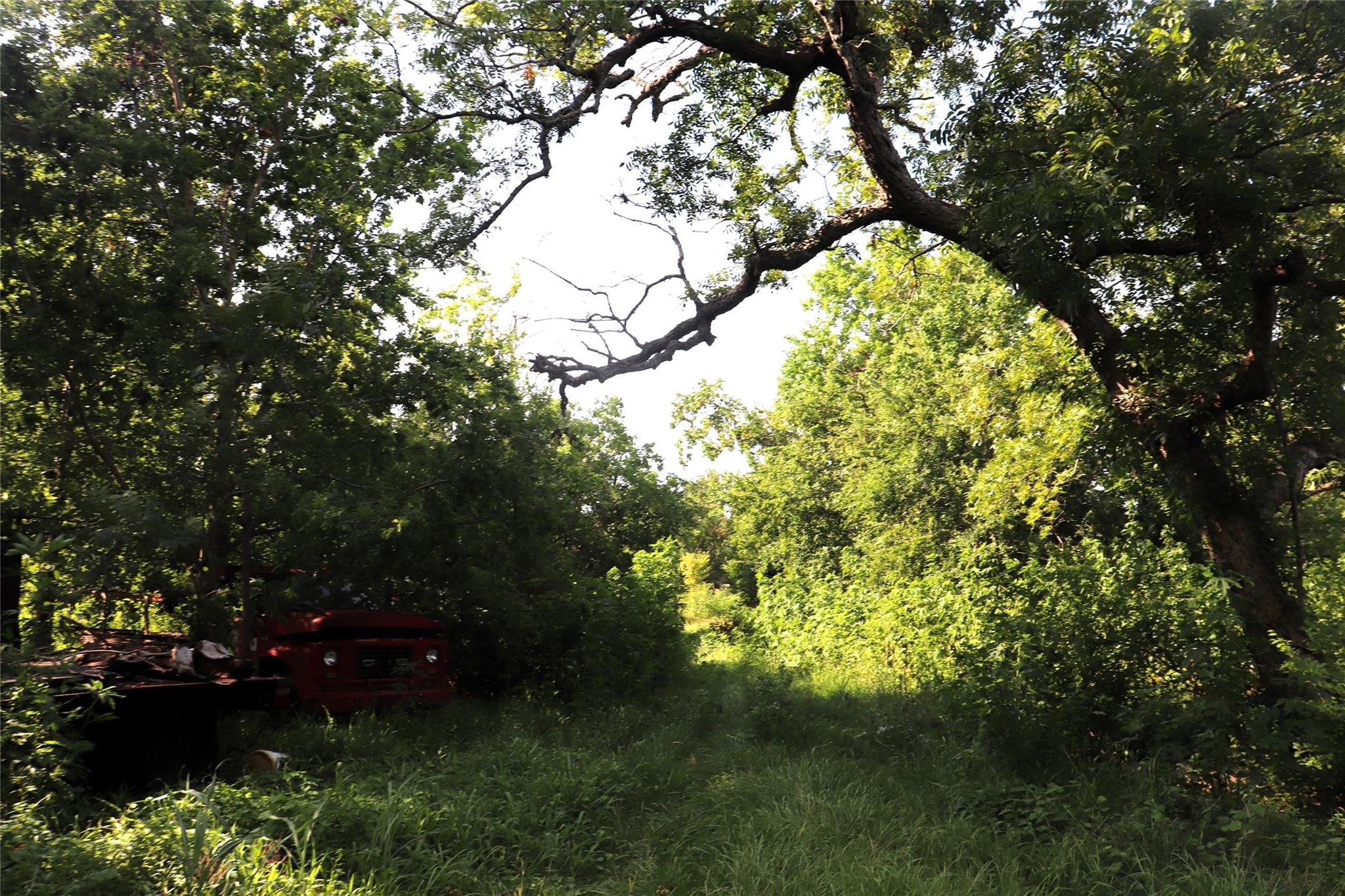main property photo 9