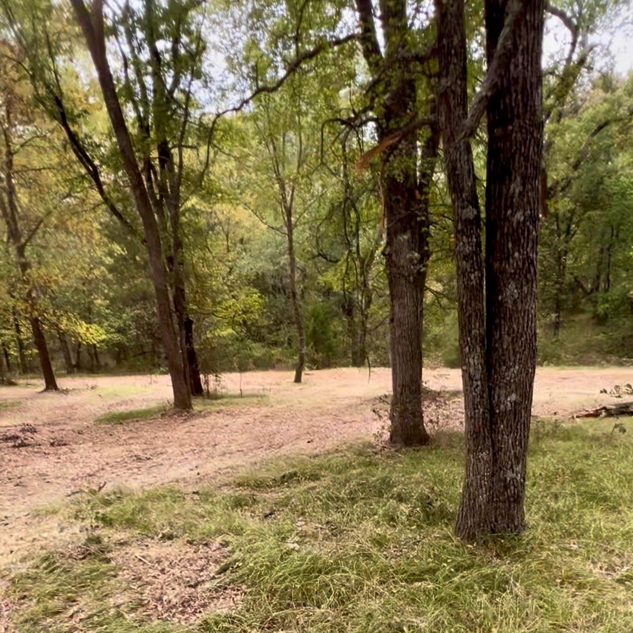 main property photo 11