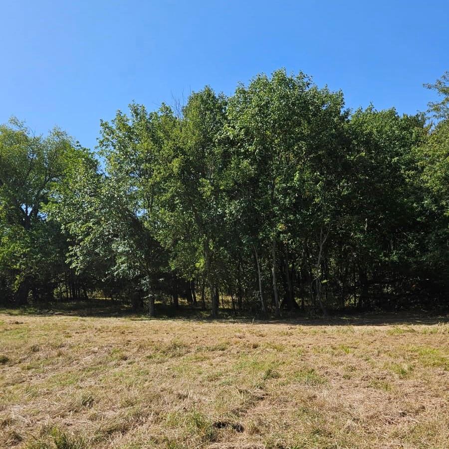 main property photo 14