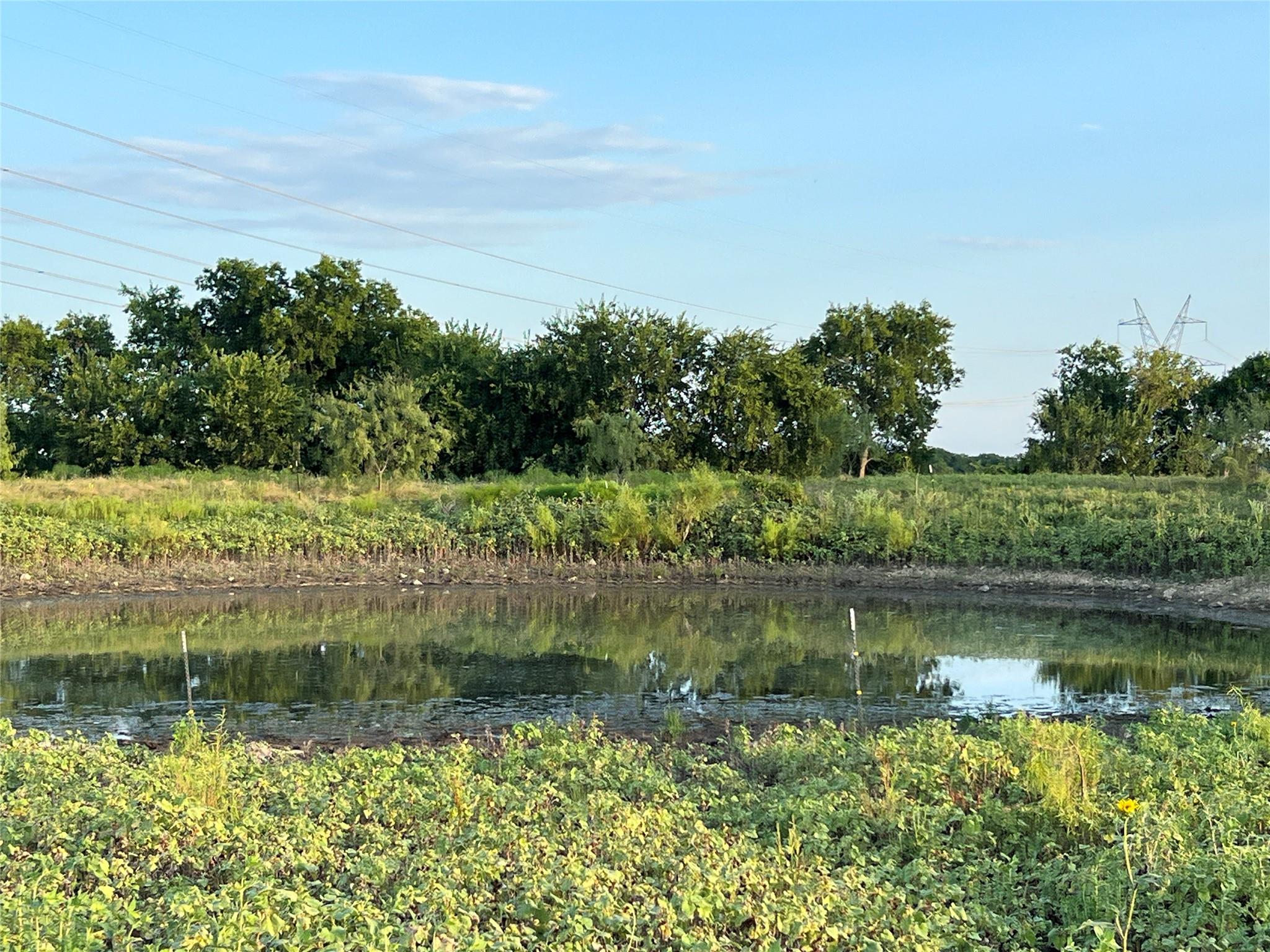 main property photo 19