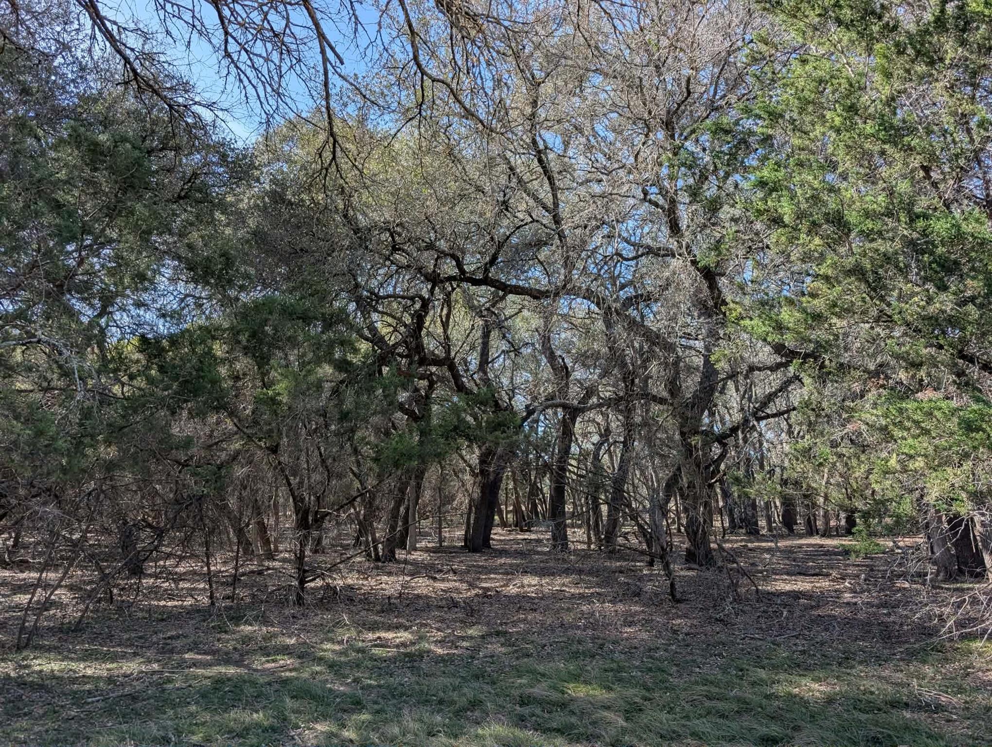 main property photo 34