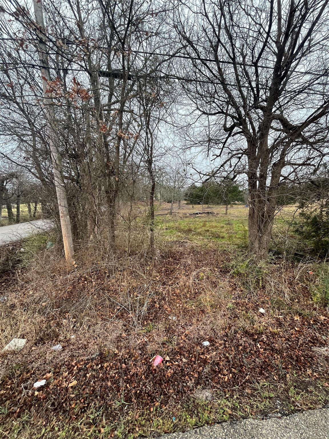 main property photo 10