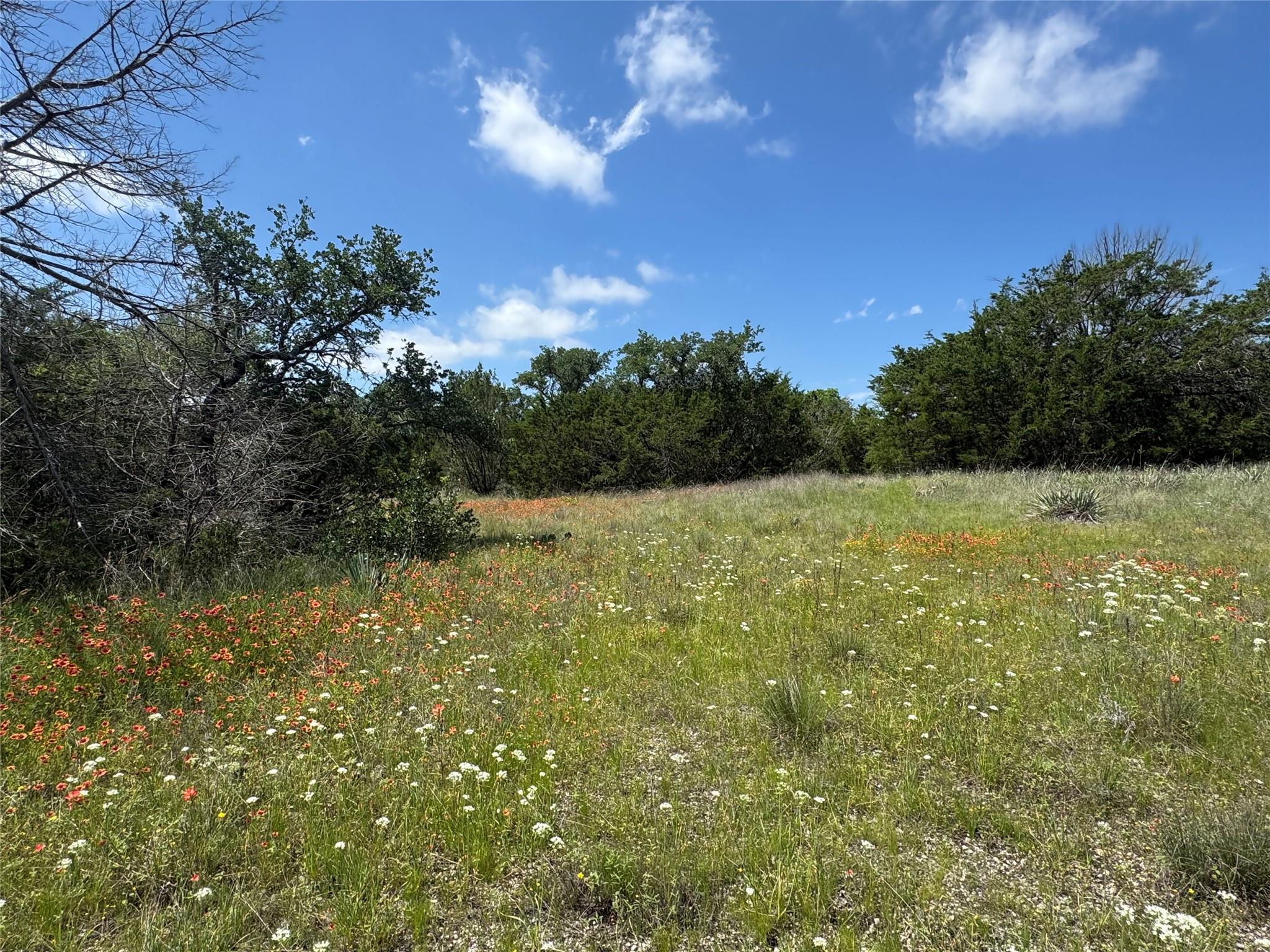 main property photo 11
