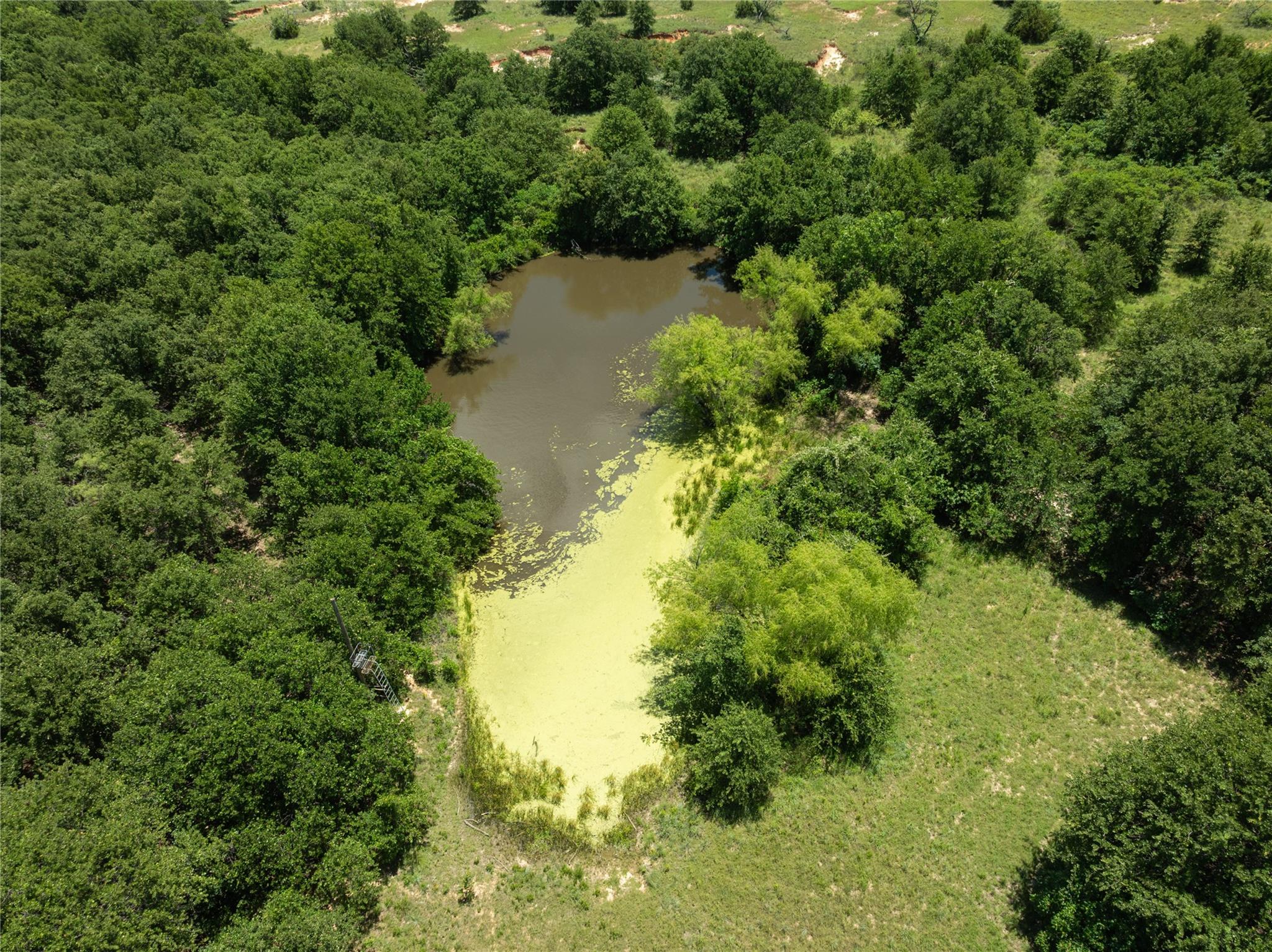 main property photo 11