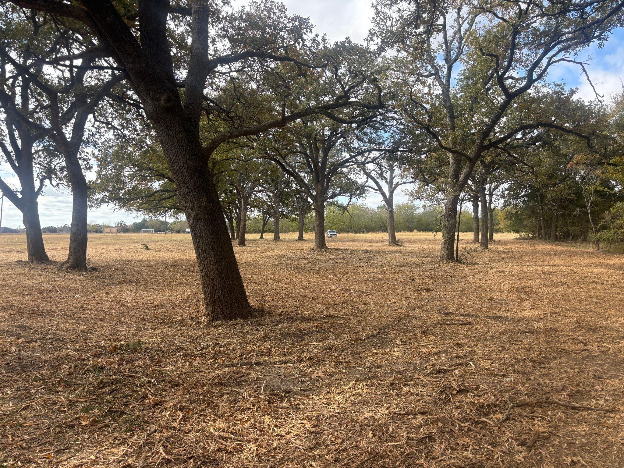 main property photo 11