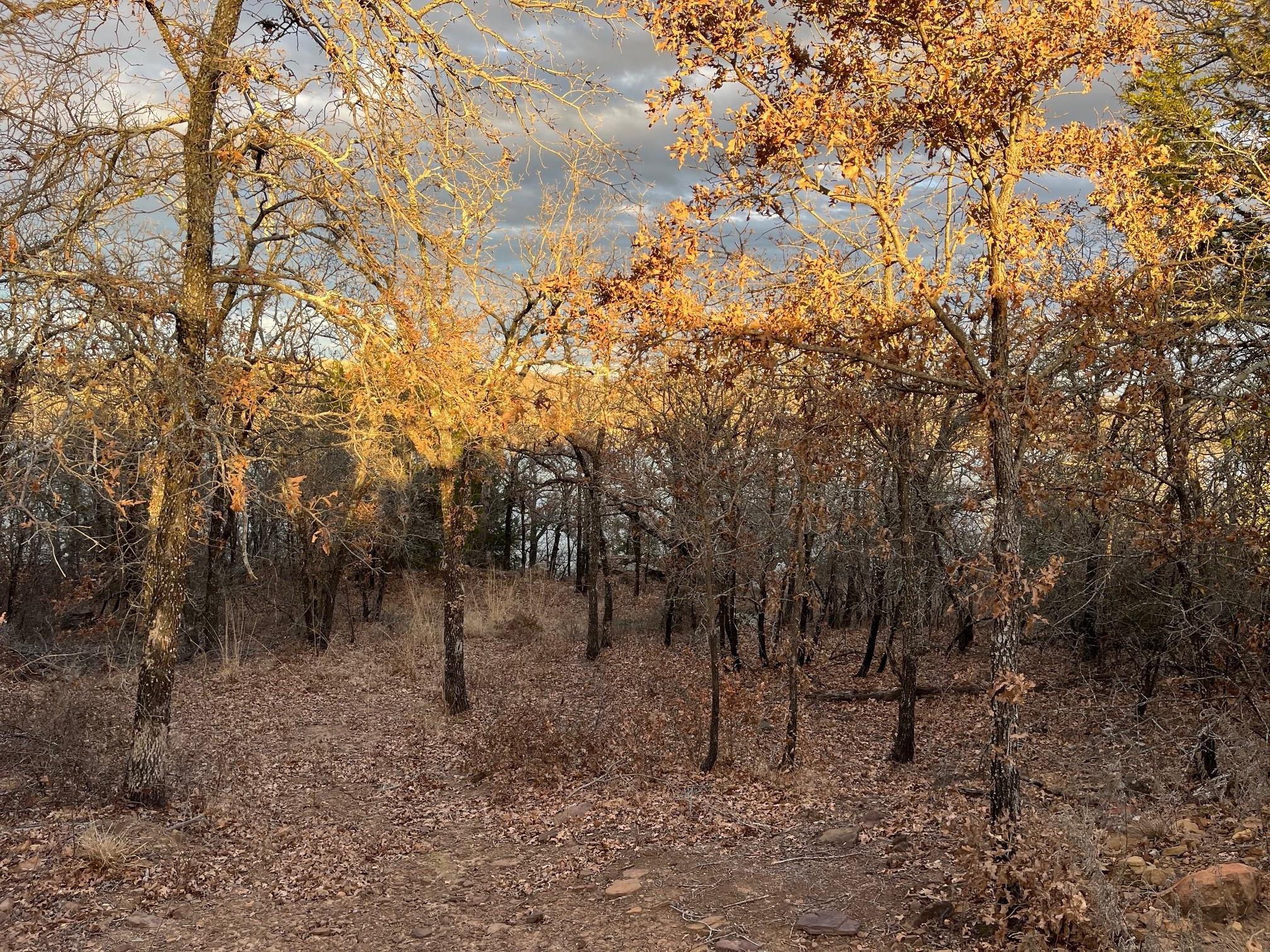 main property photo 7