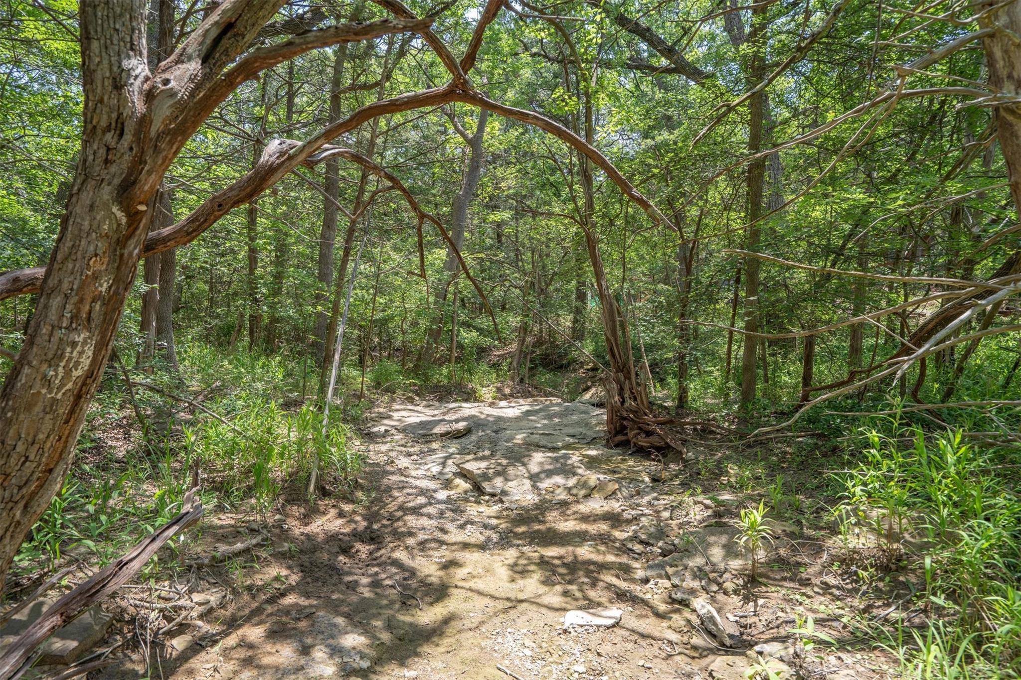 main property photo 18