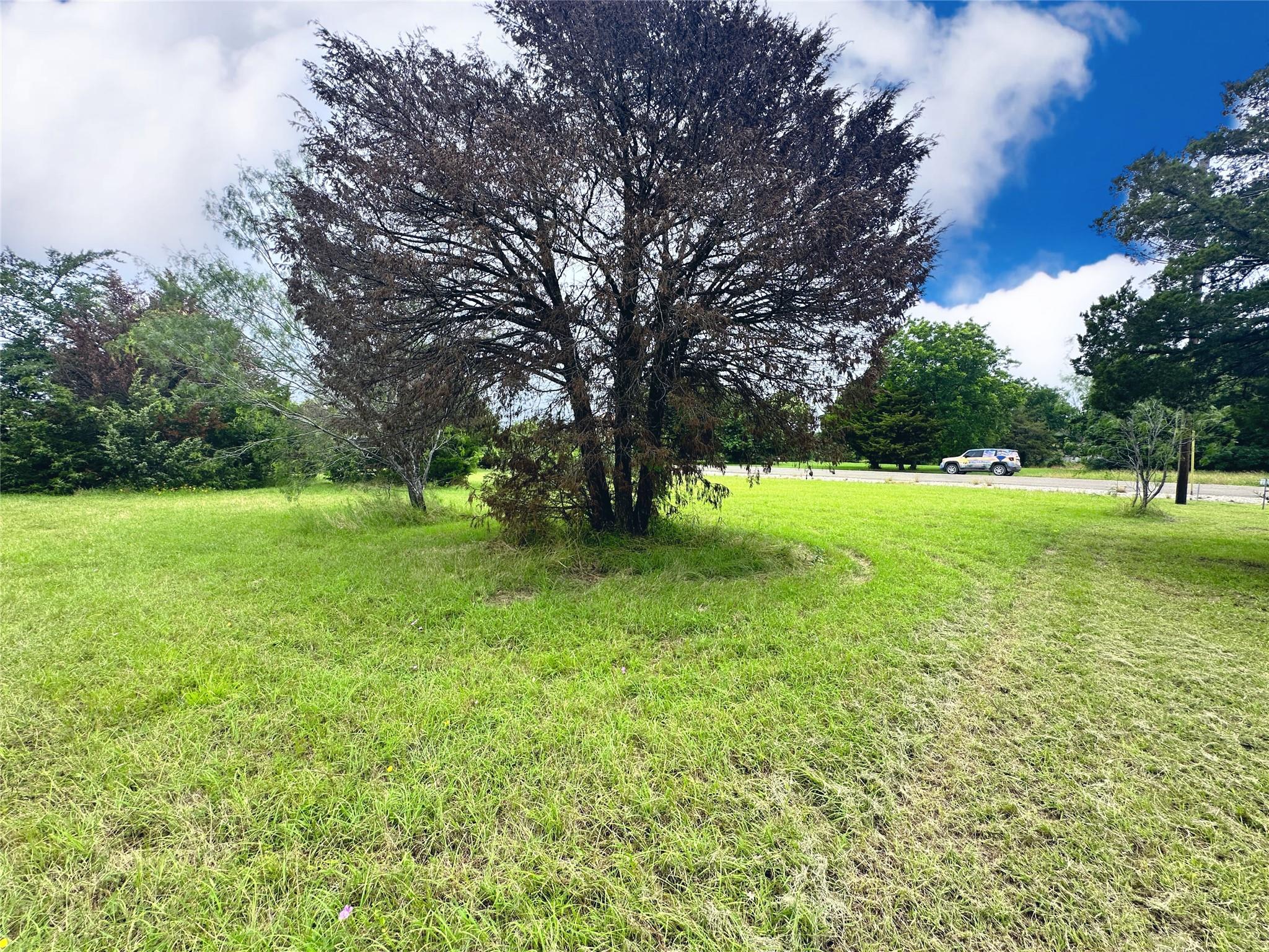 main property photo 13