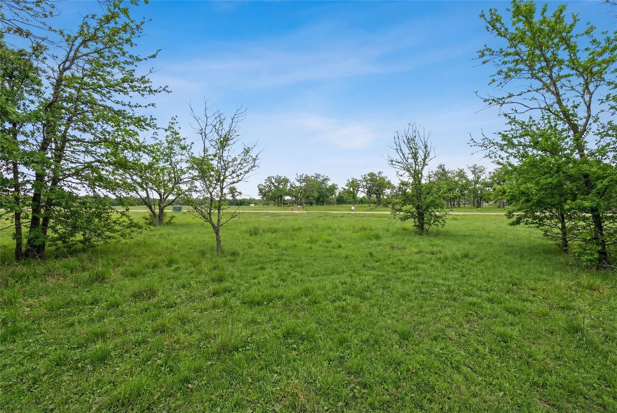 main property photo 6