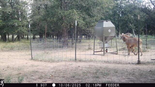 main property photo 38