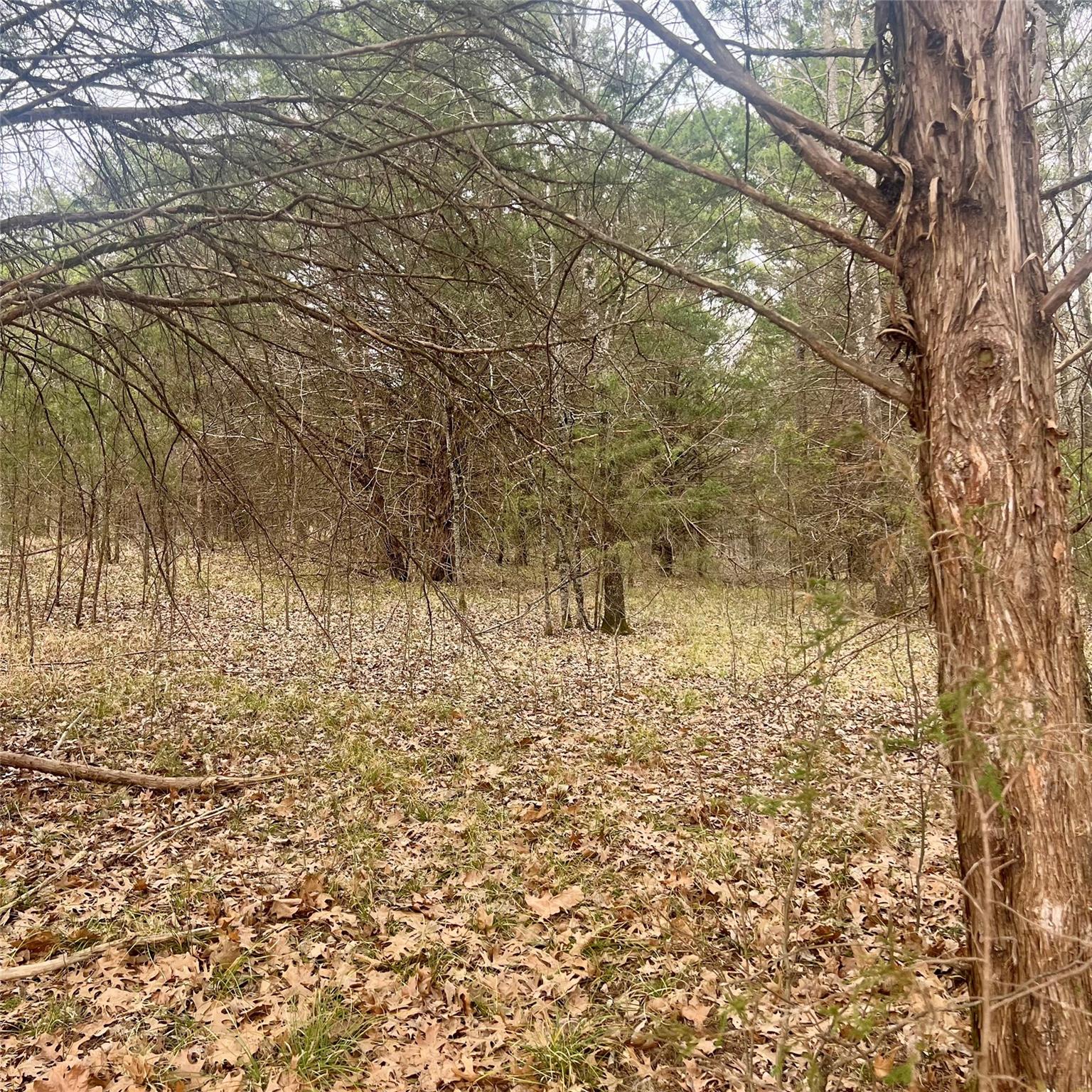 main property photo 10
