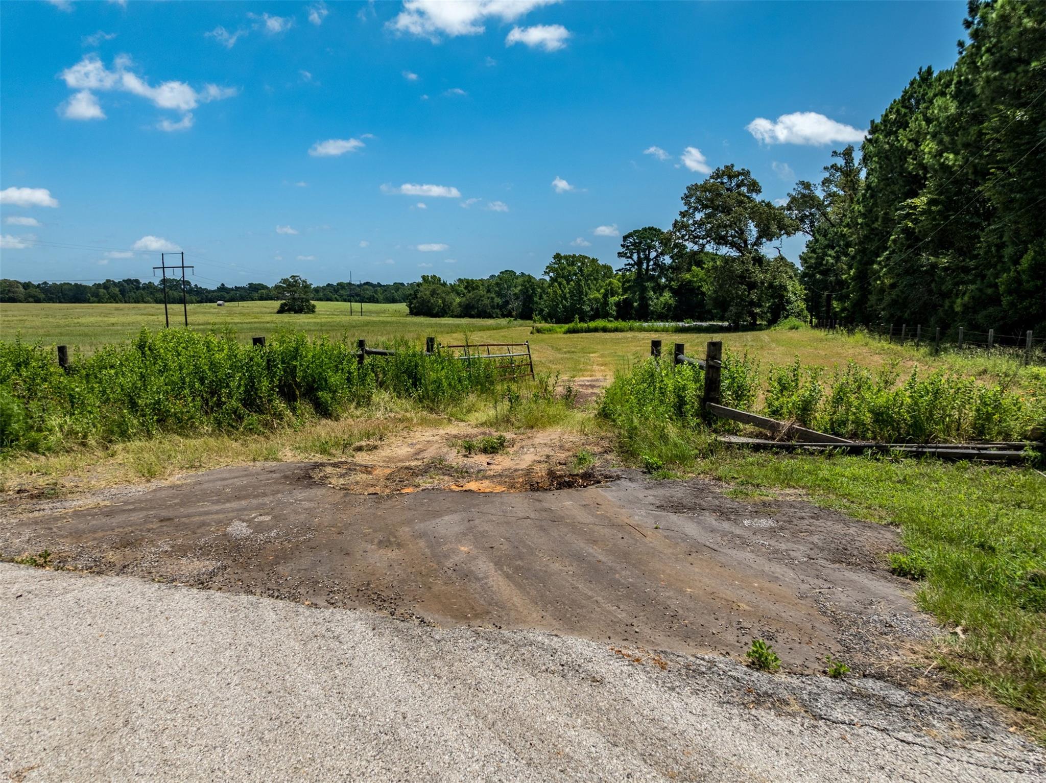 main property photo 11