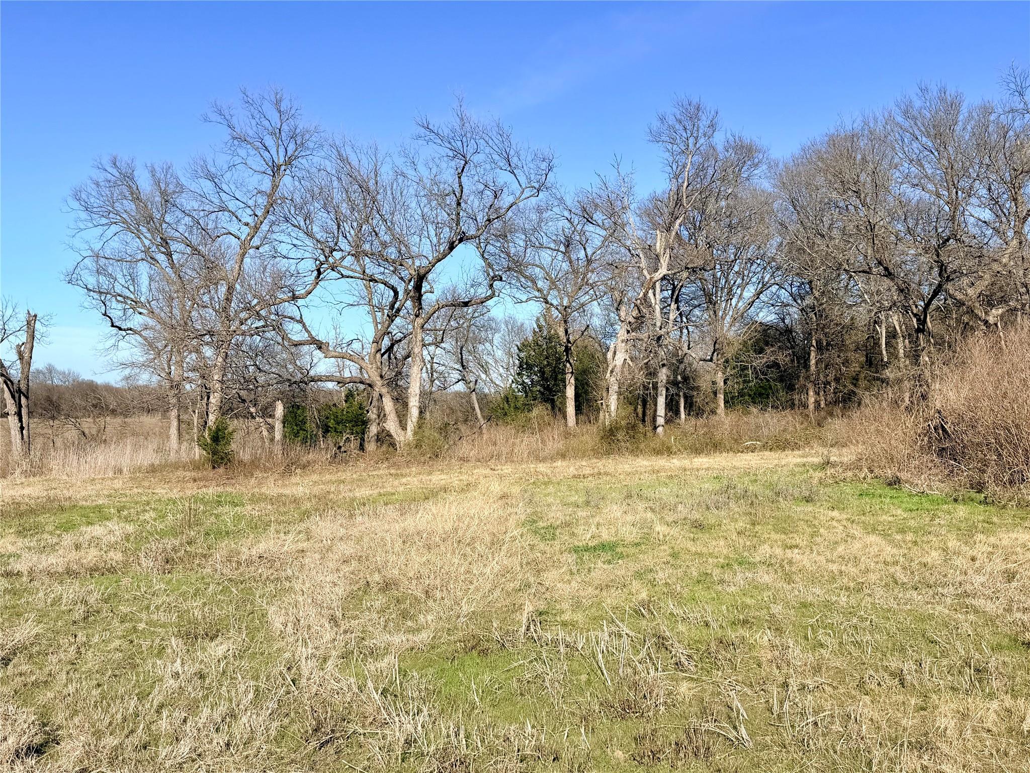 main property photo 13