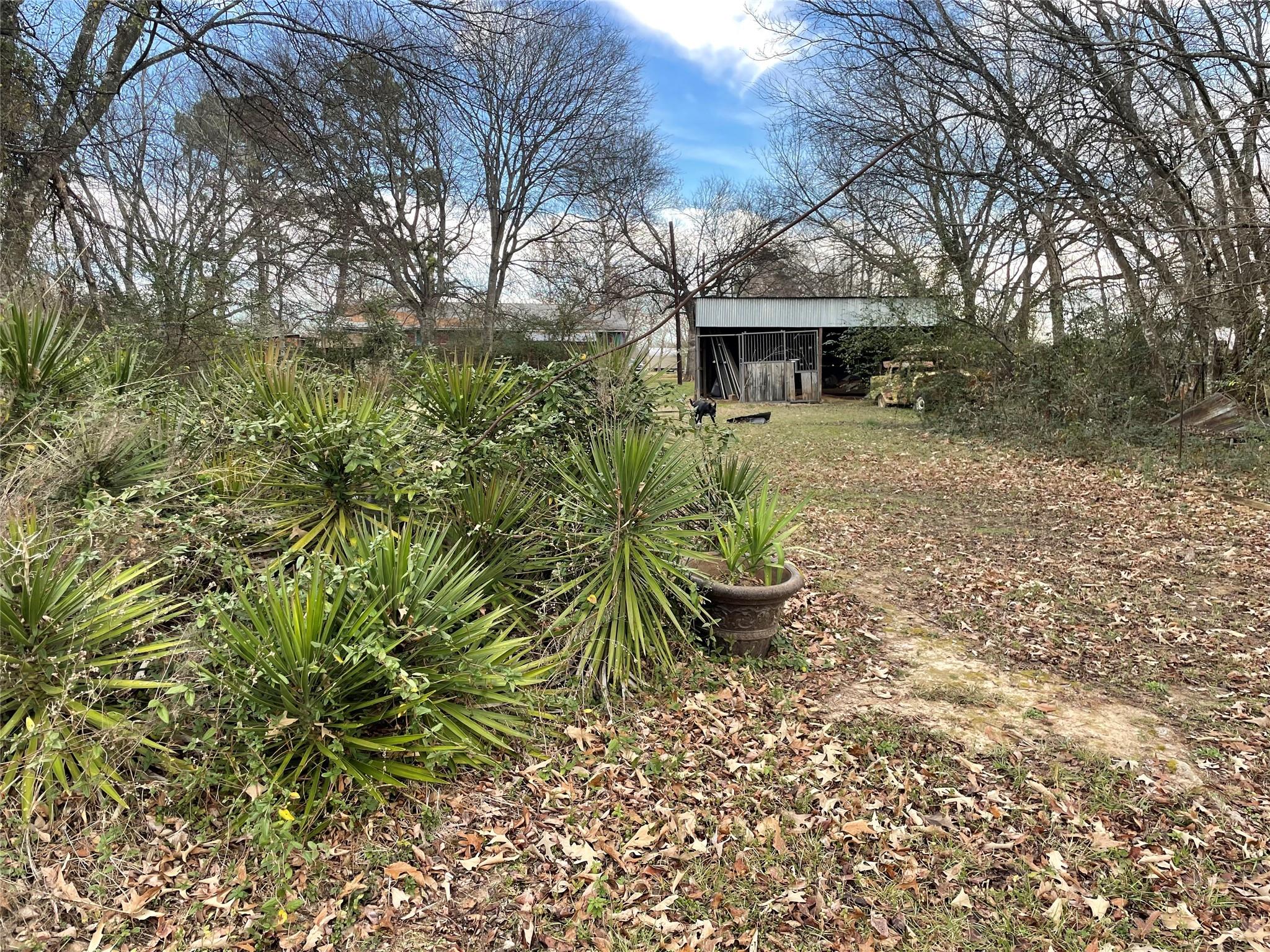 main property photo 21