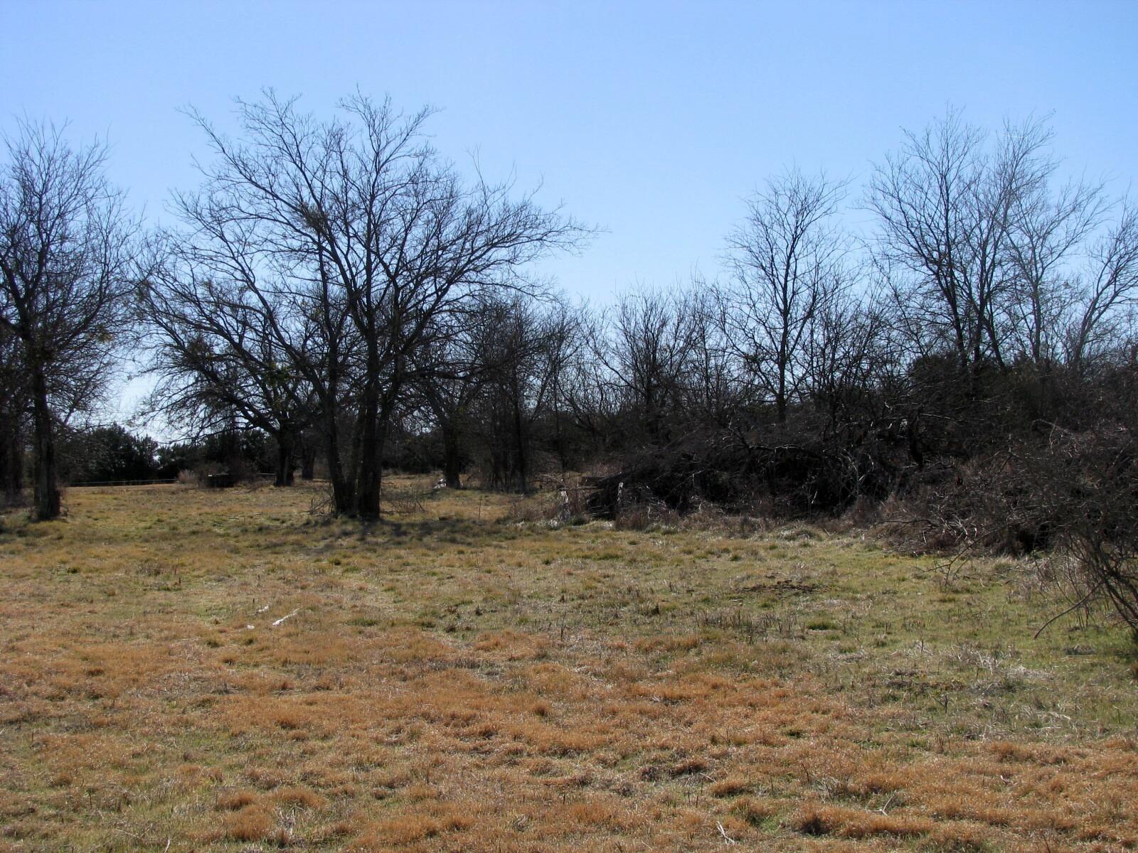 main property photo 10