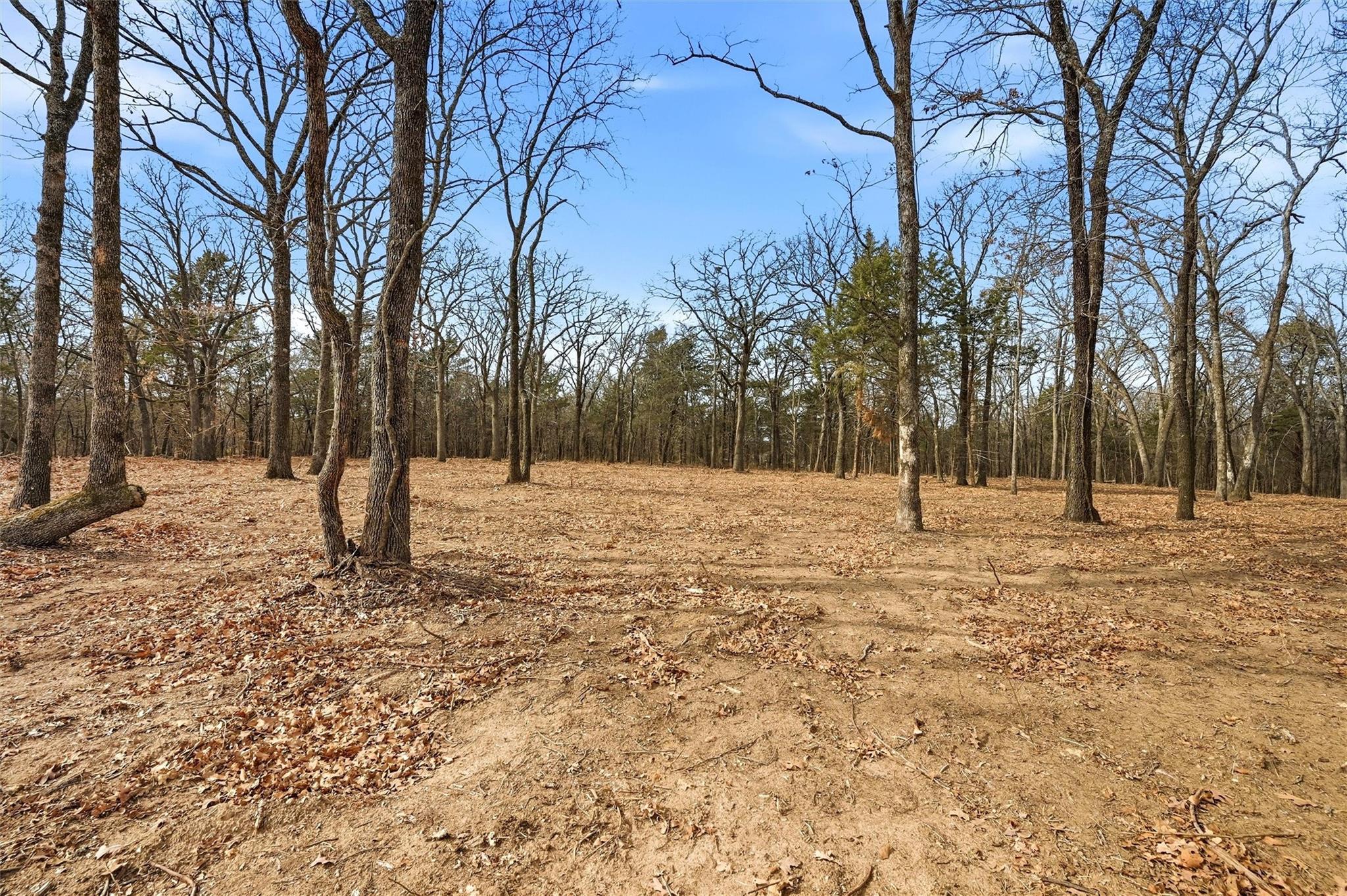 main property photo 10