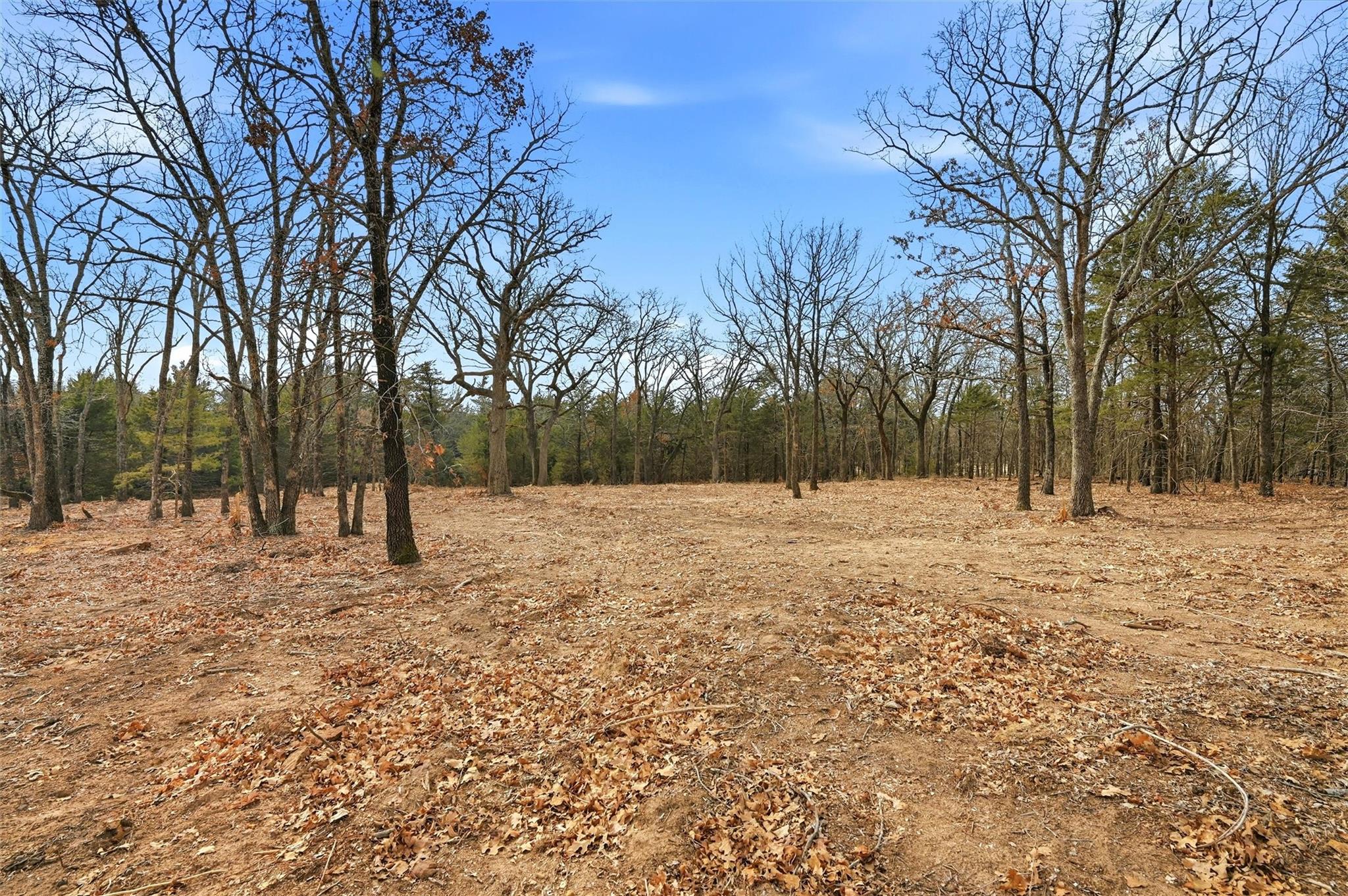 main property photo 8