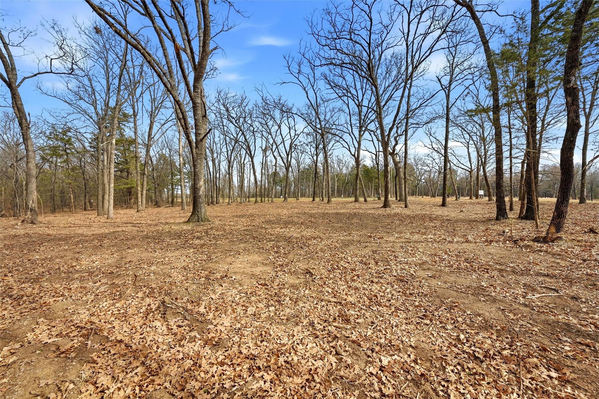 main property photo 13