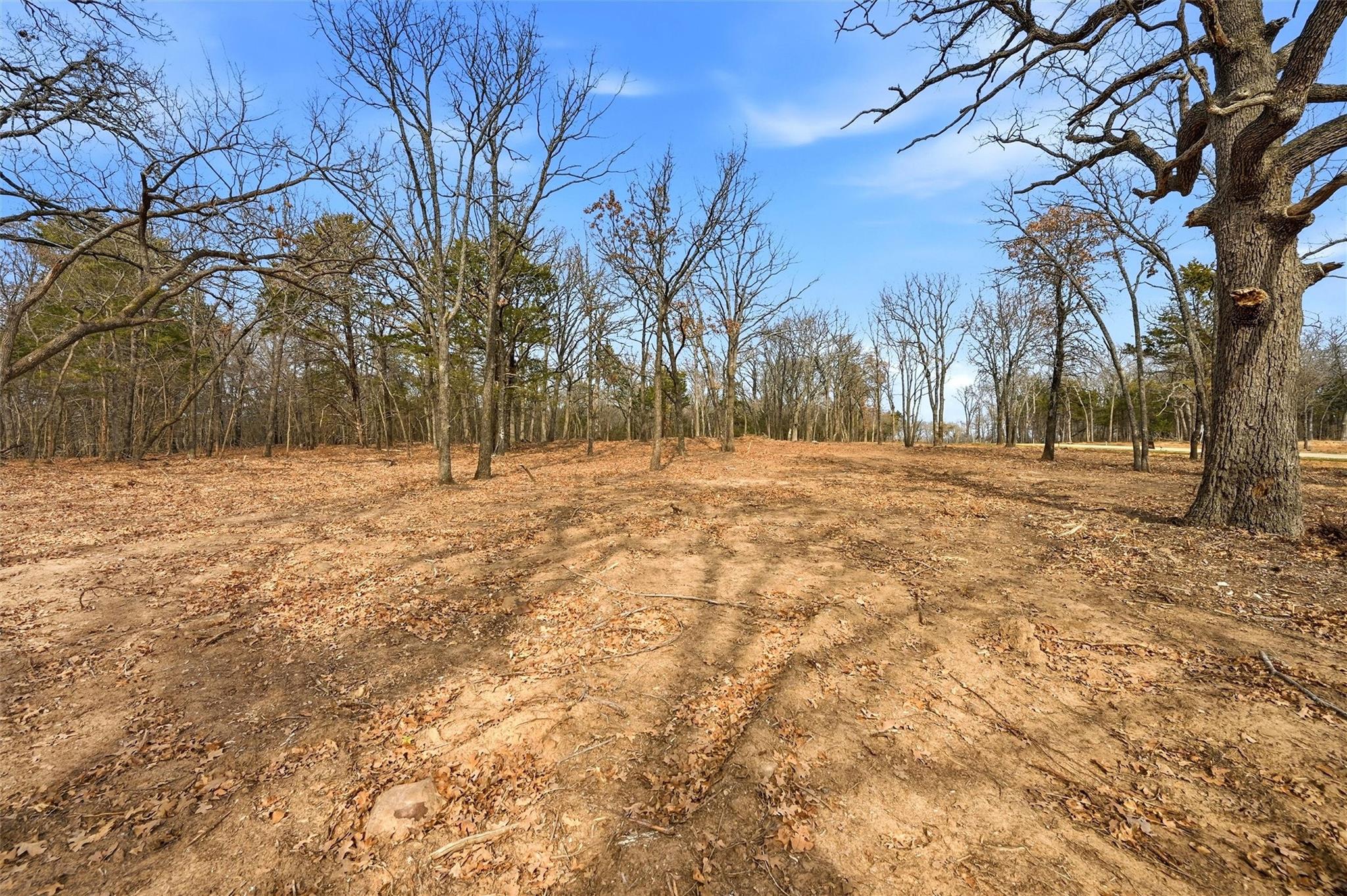 main property photo 6