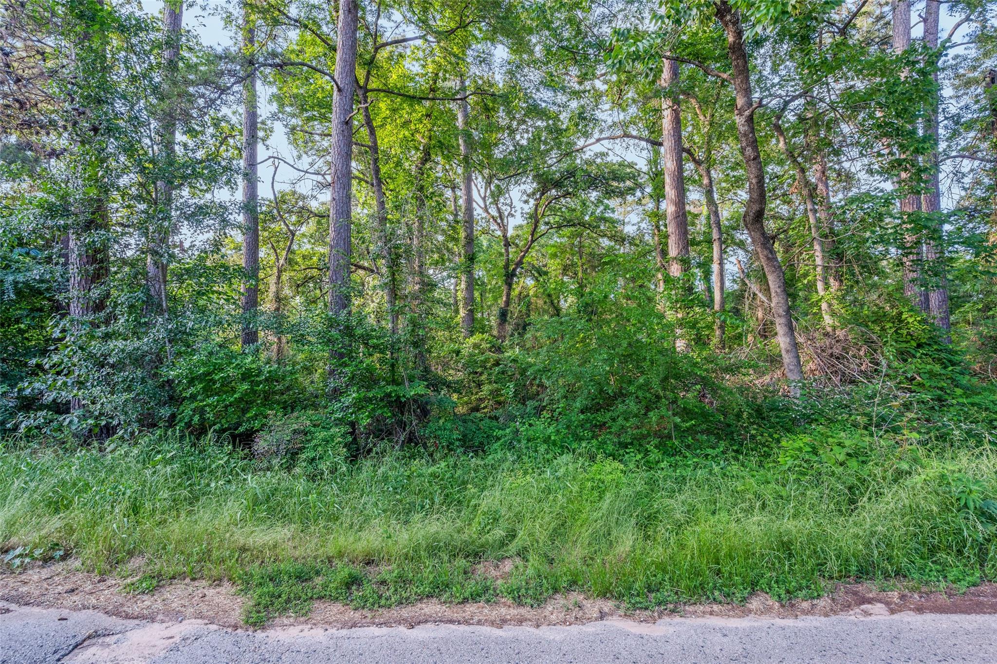 main property photo 10