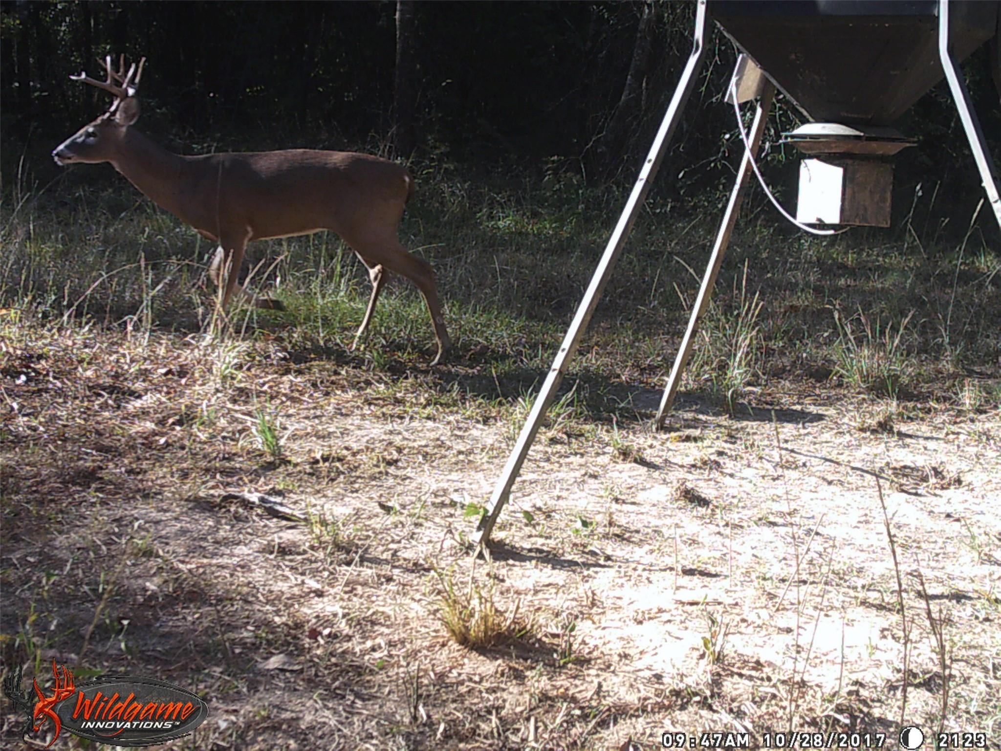 main property photo 38