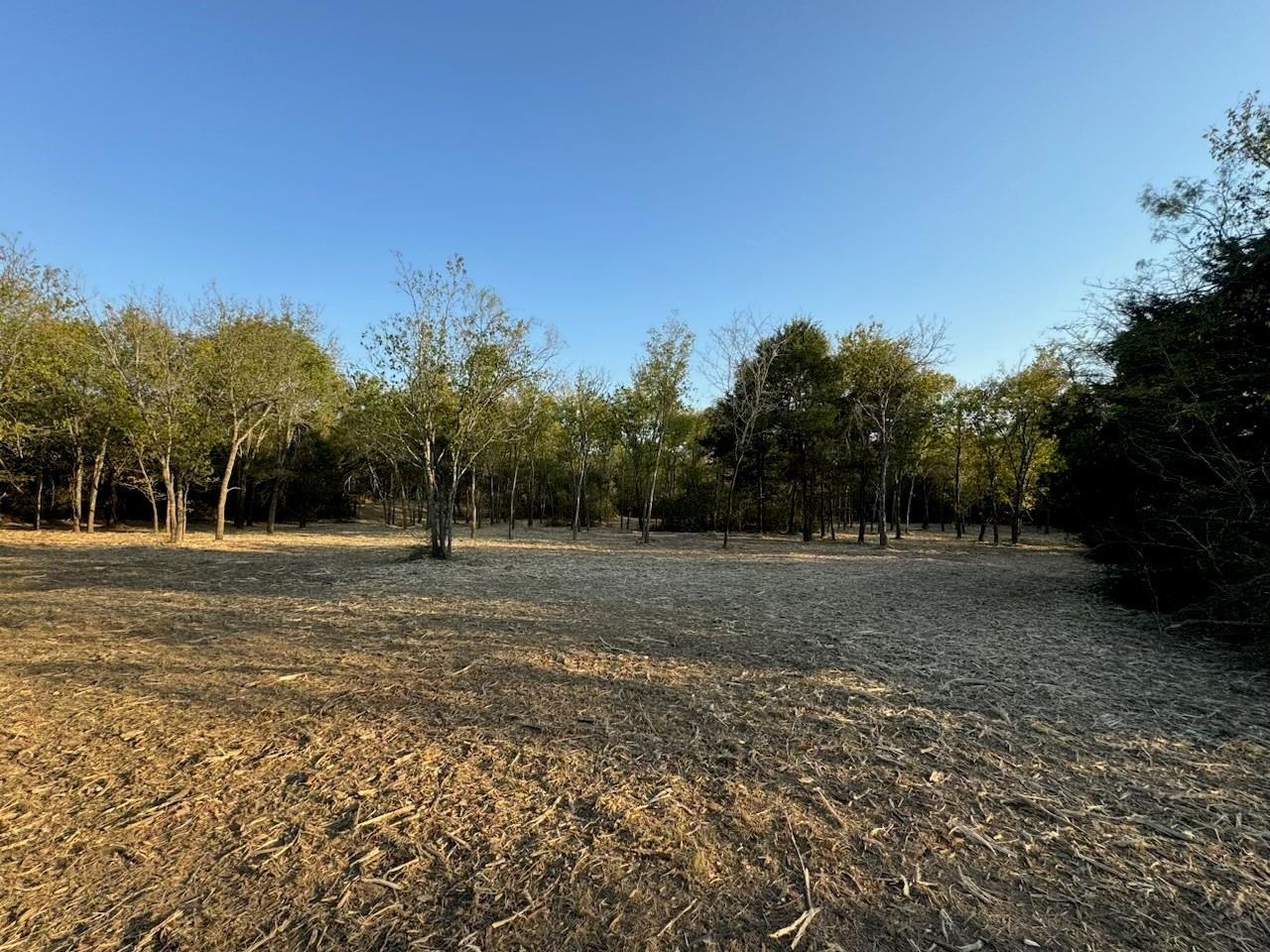 main property photo 12