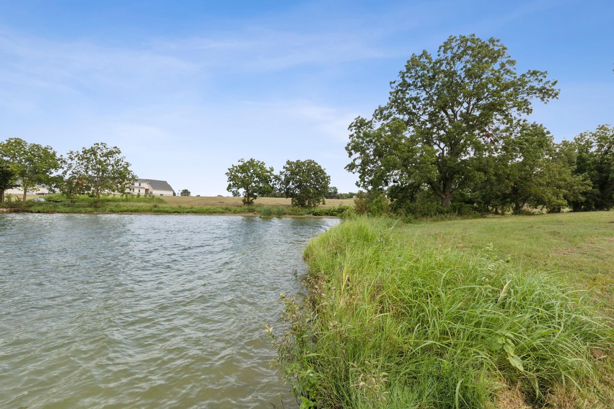 main property photo 12