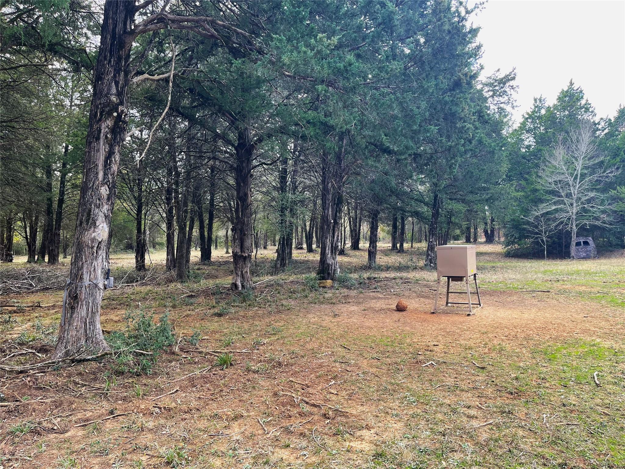 main property photo 25