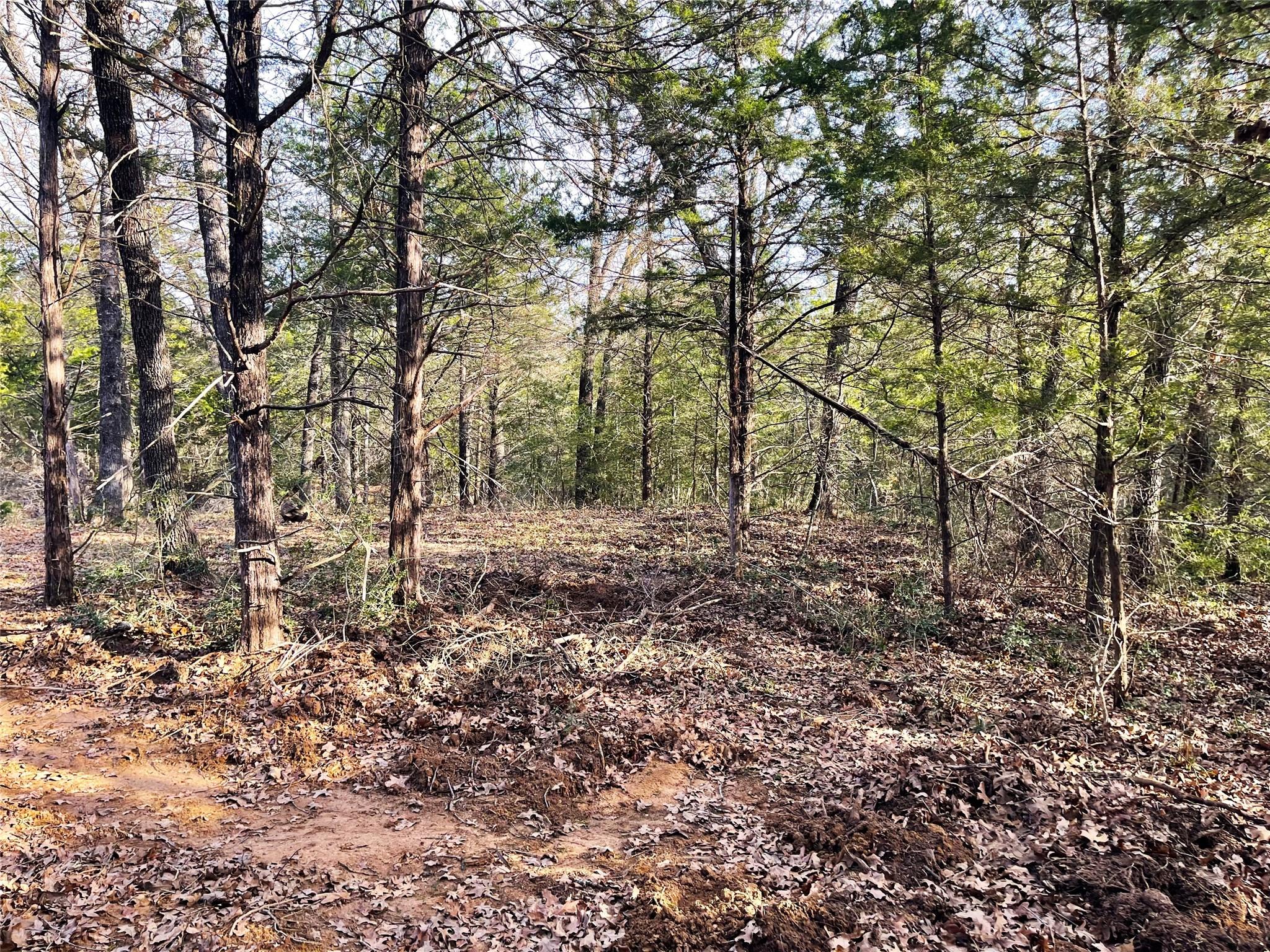 main property photo 28