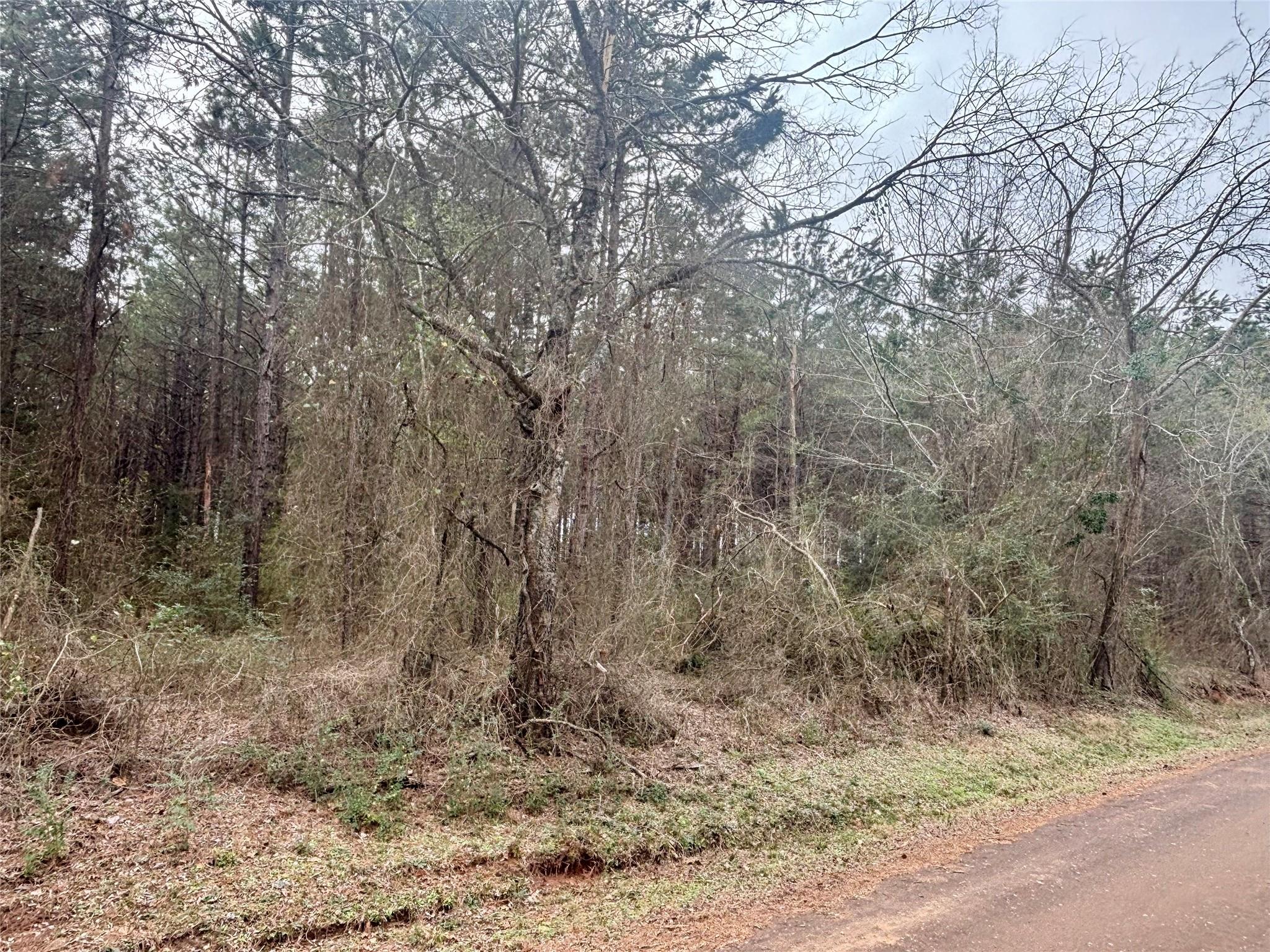 main property photo 6