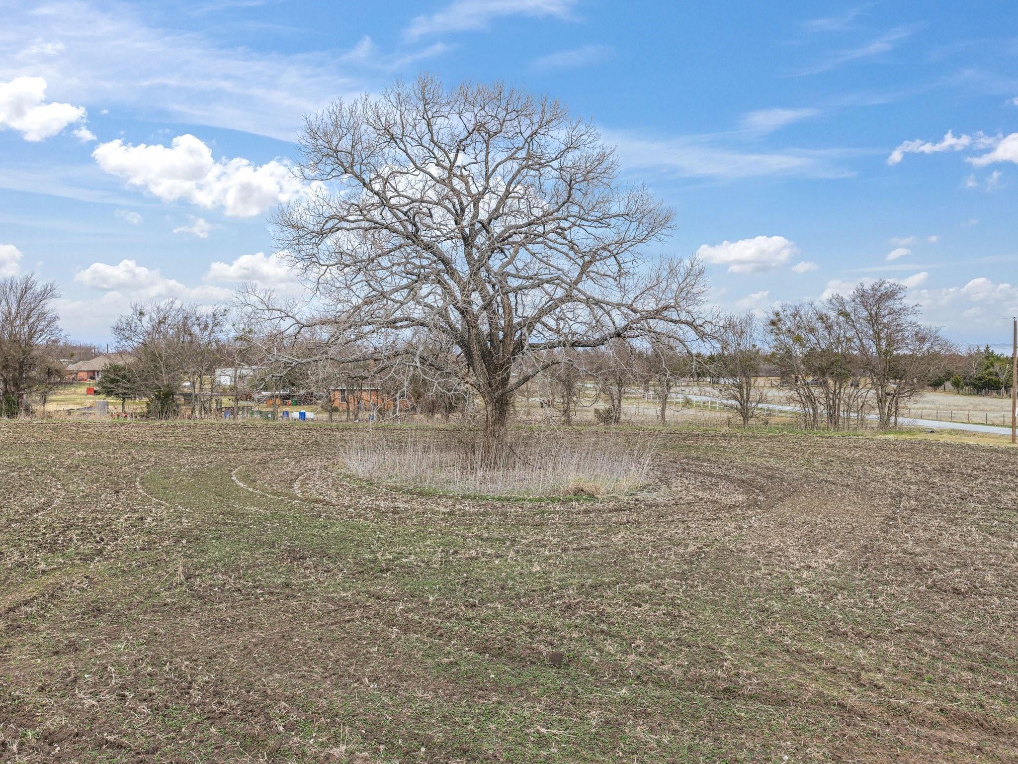 property viewer photo 2
