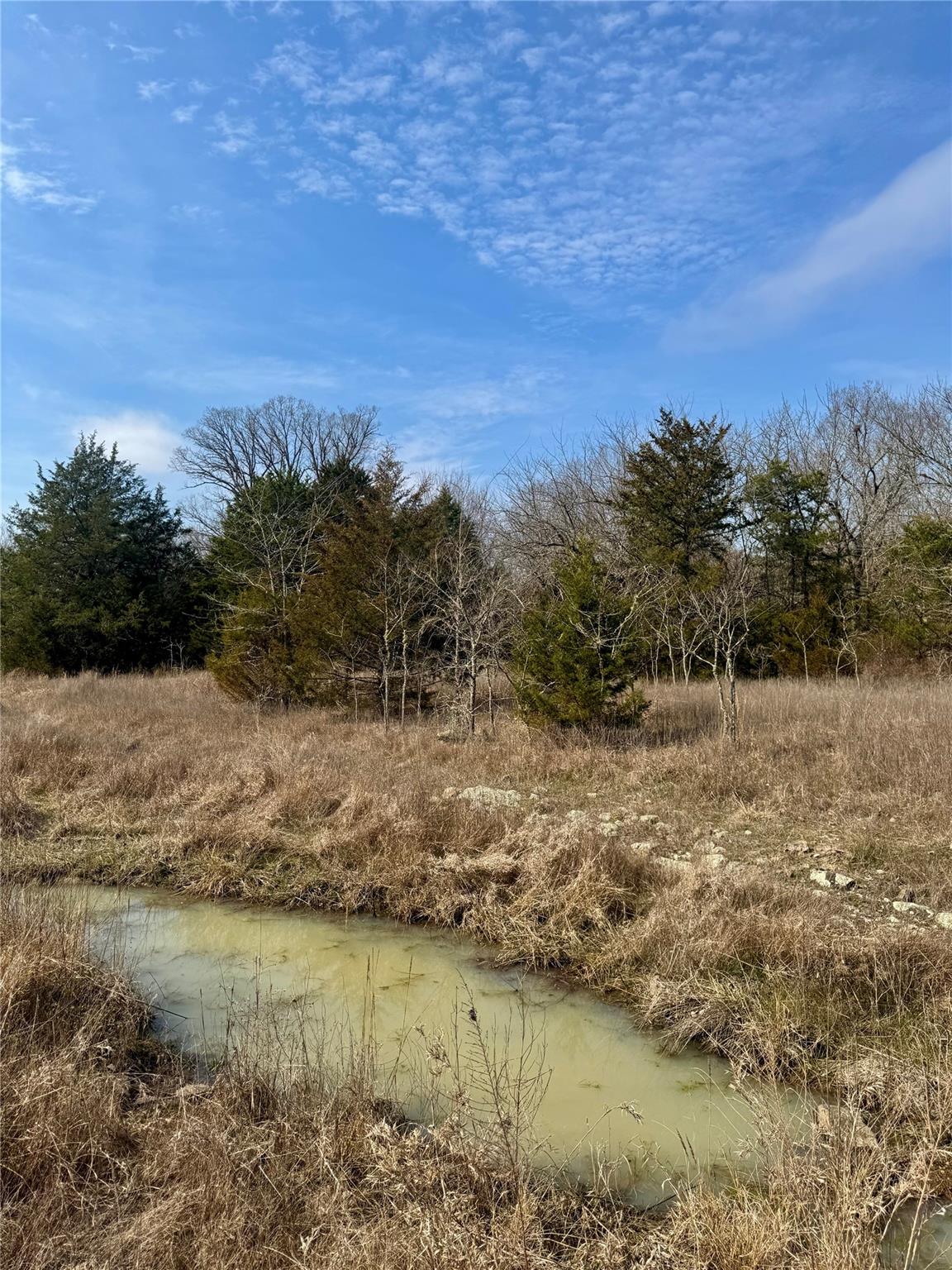 main property photo 13