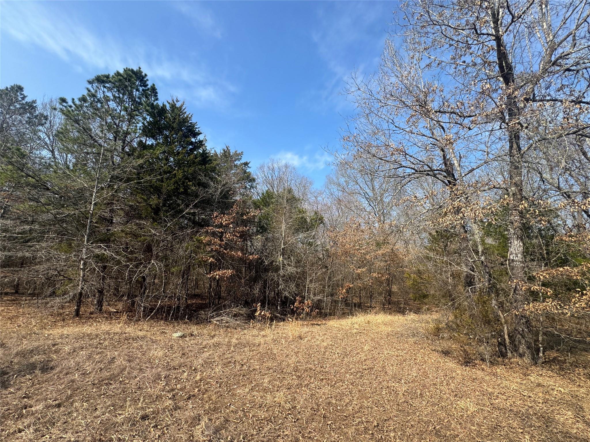 main property photo 21
