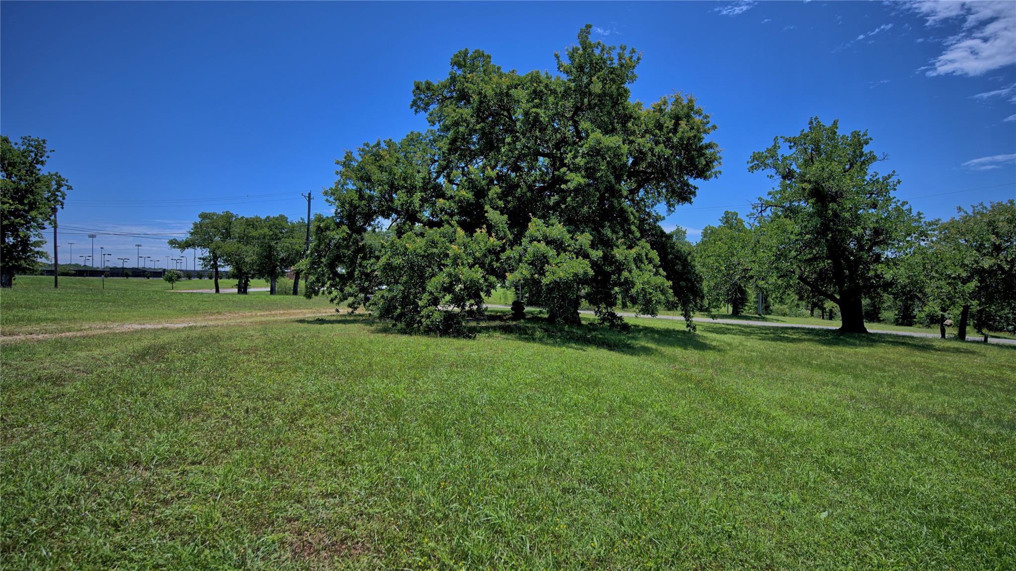 main property photo 10