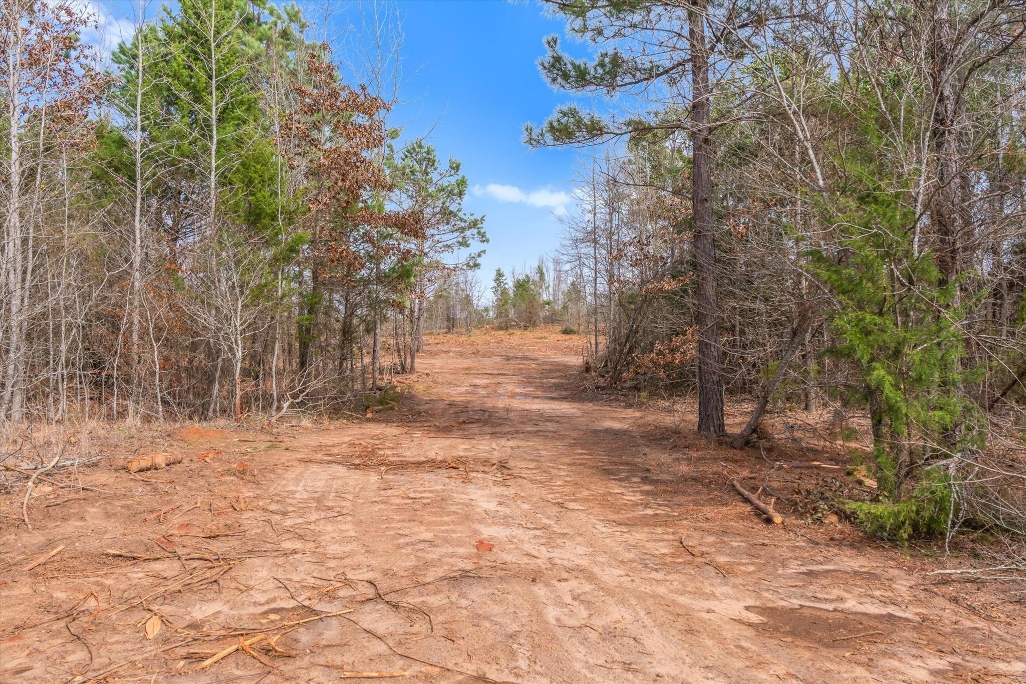 main property photo 31