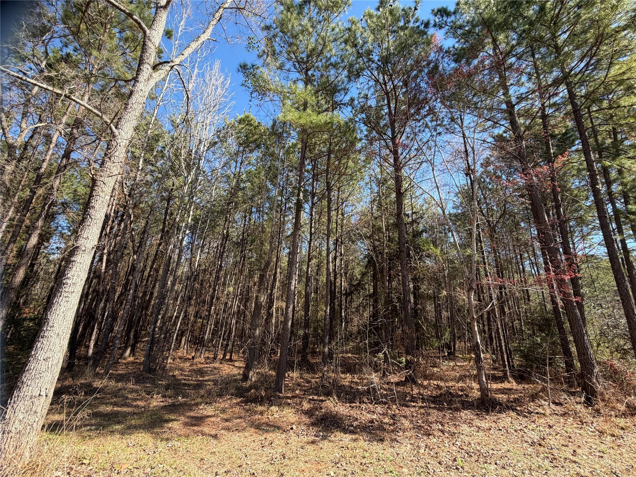 main property photo 10