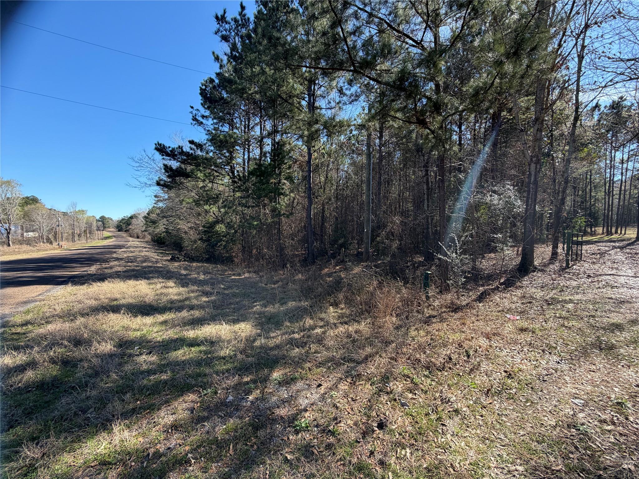 main property photo 13