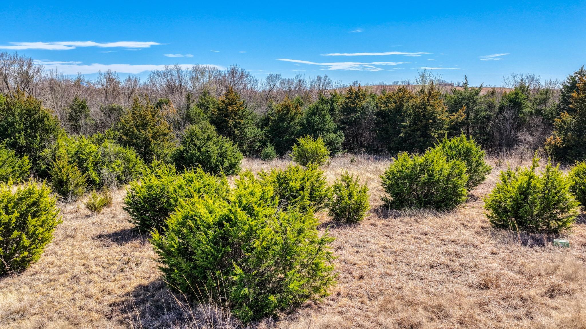 main property photo 18
