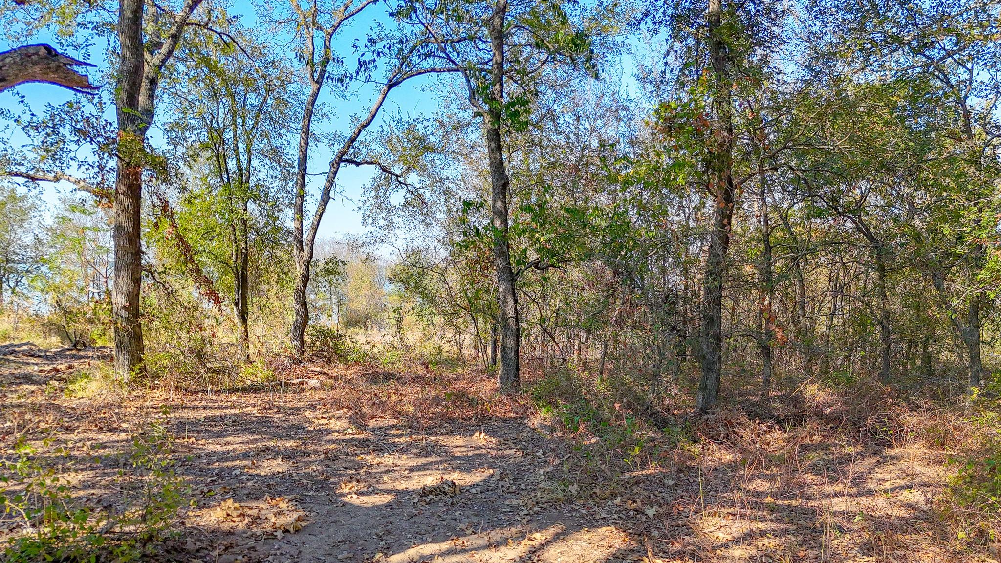 main property photo 13